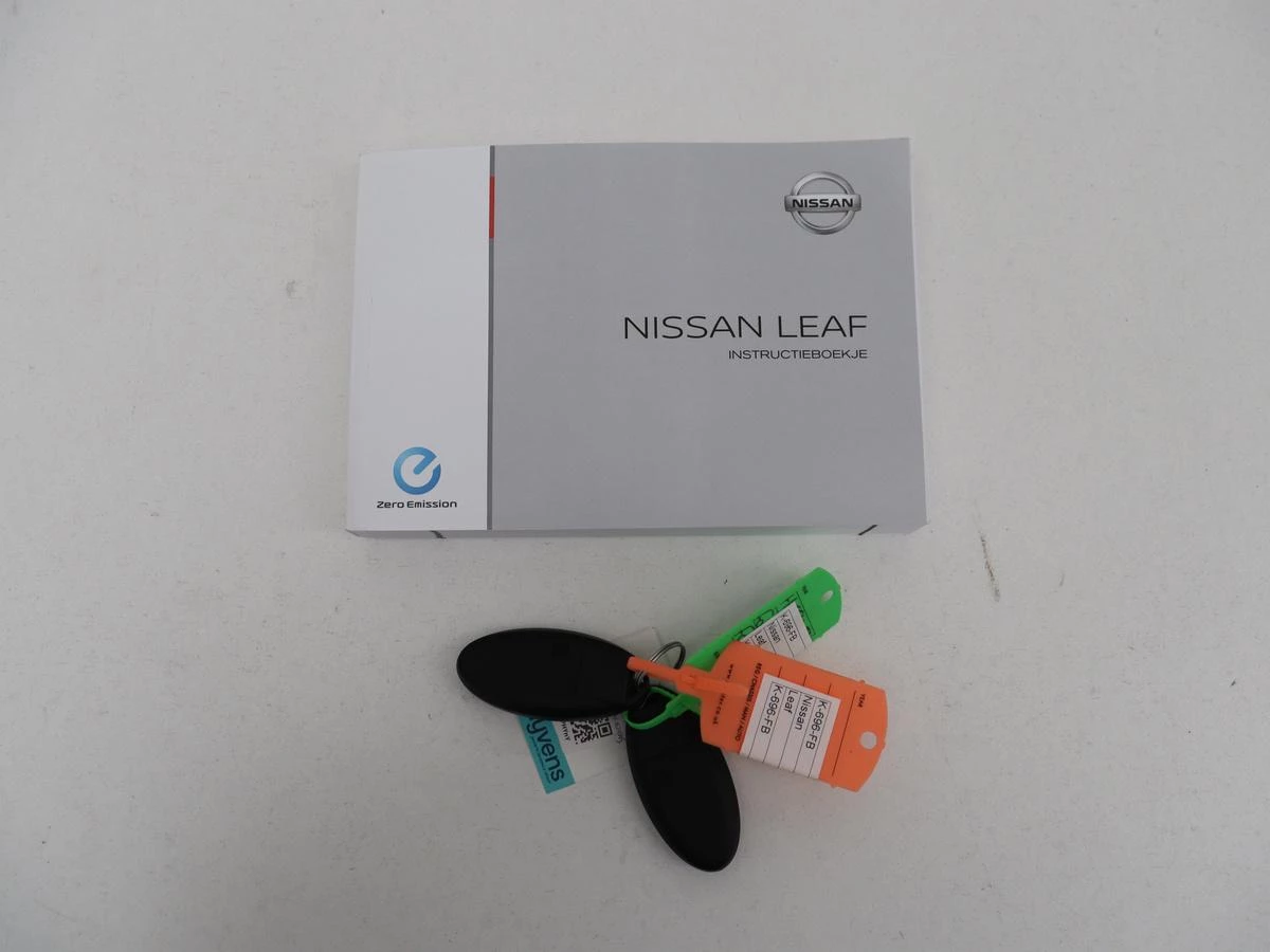 Hoofdafbeelding Nissan Leaf