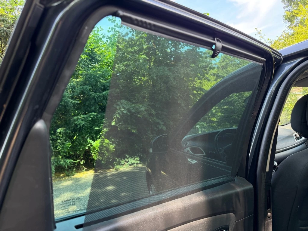 Hoofdafbeelding Renault Scénic