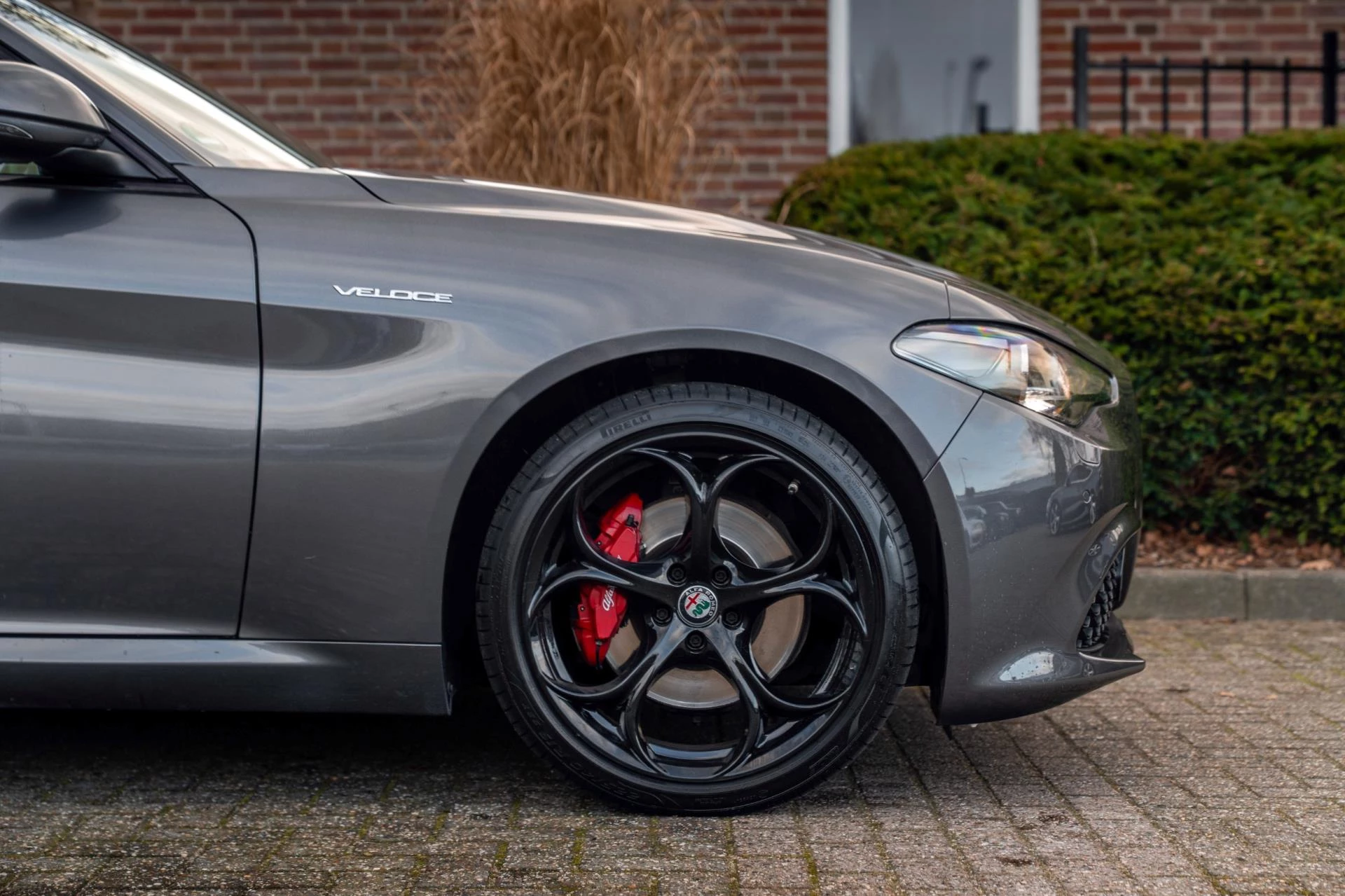 Hoofdafbeelding Alfa Romeo Giulia