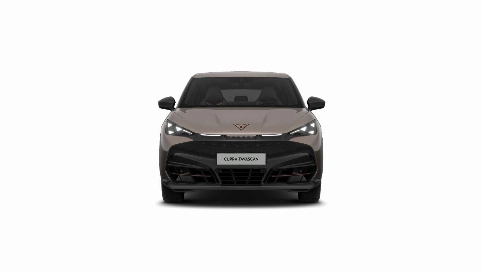 Hoofdafbeelding CUPRA Tavascan