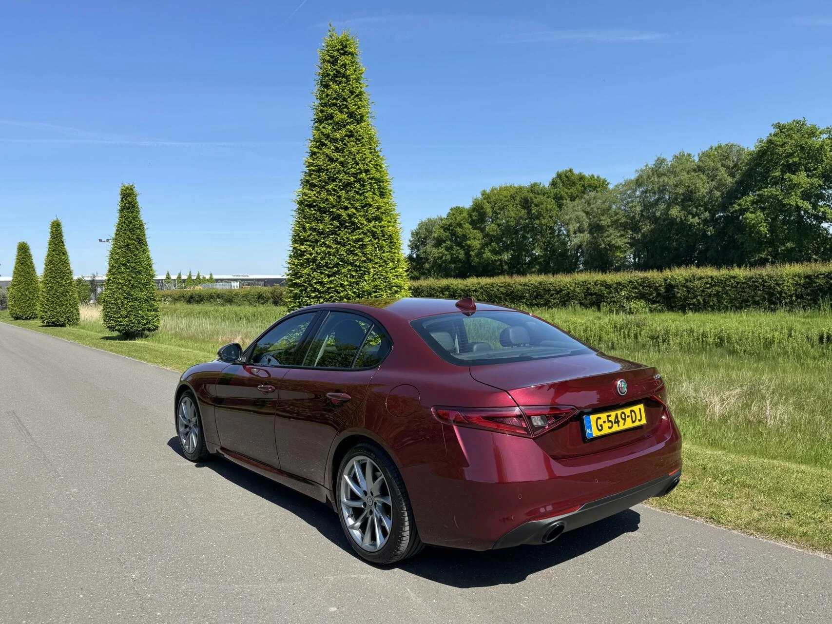 Hoofdafbeelding Alfa Romeo Giulia