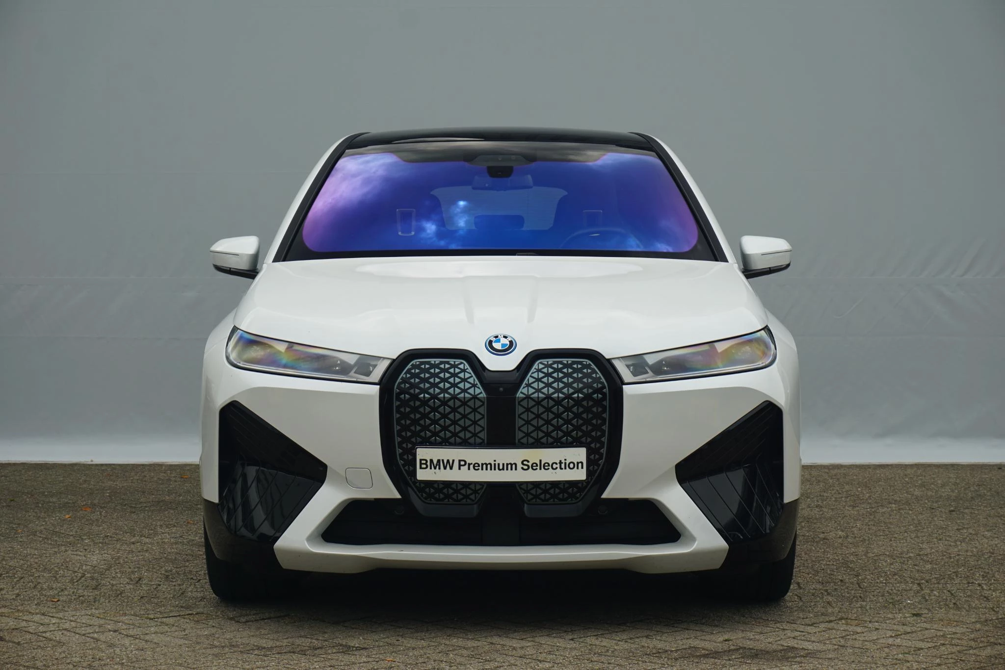 Hoofdafbeelding BMW iX