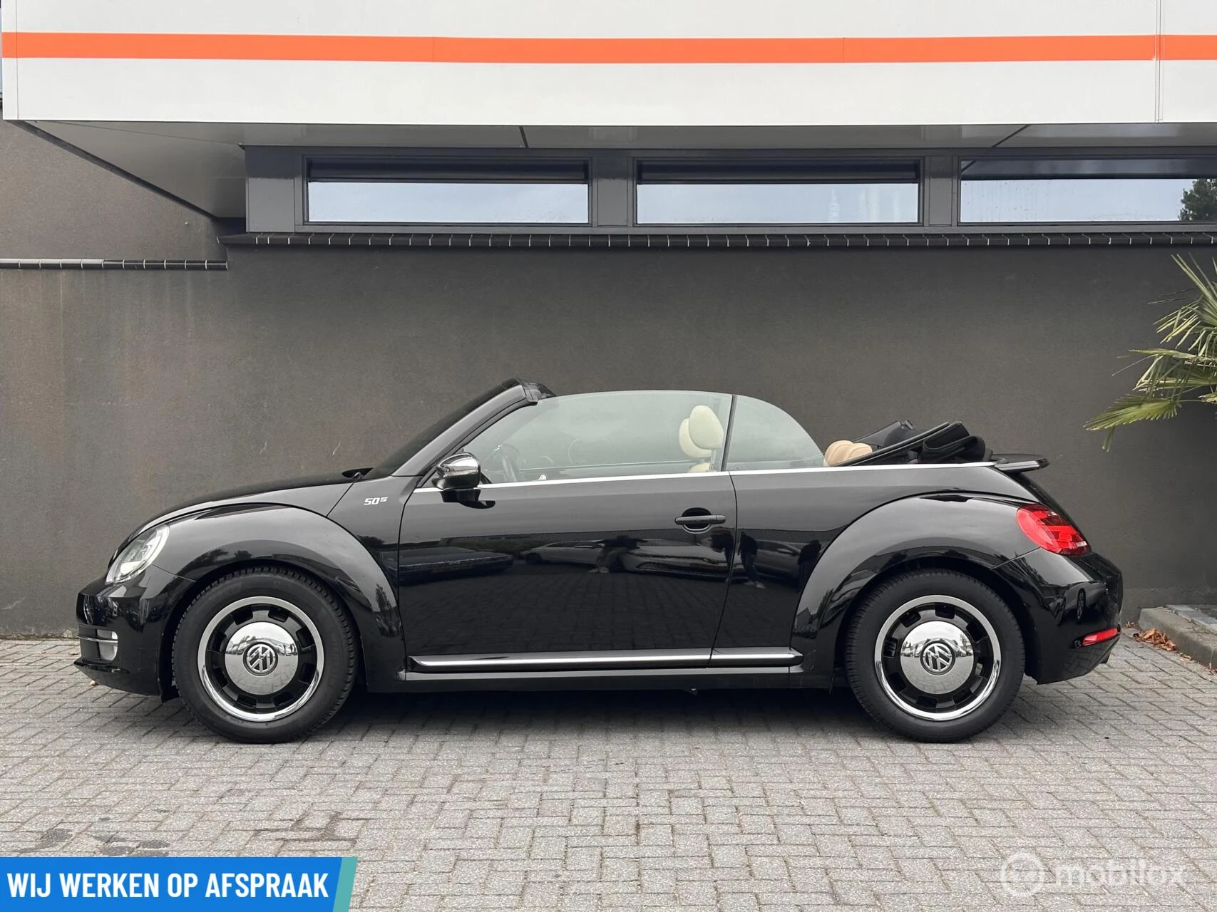 Hoofdafbeelding Volkswagen Beetle