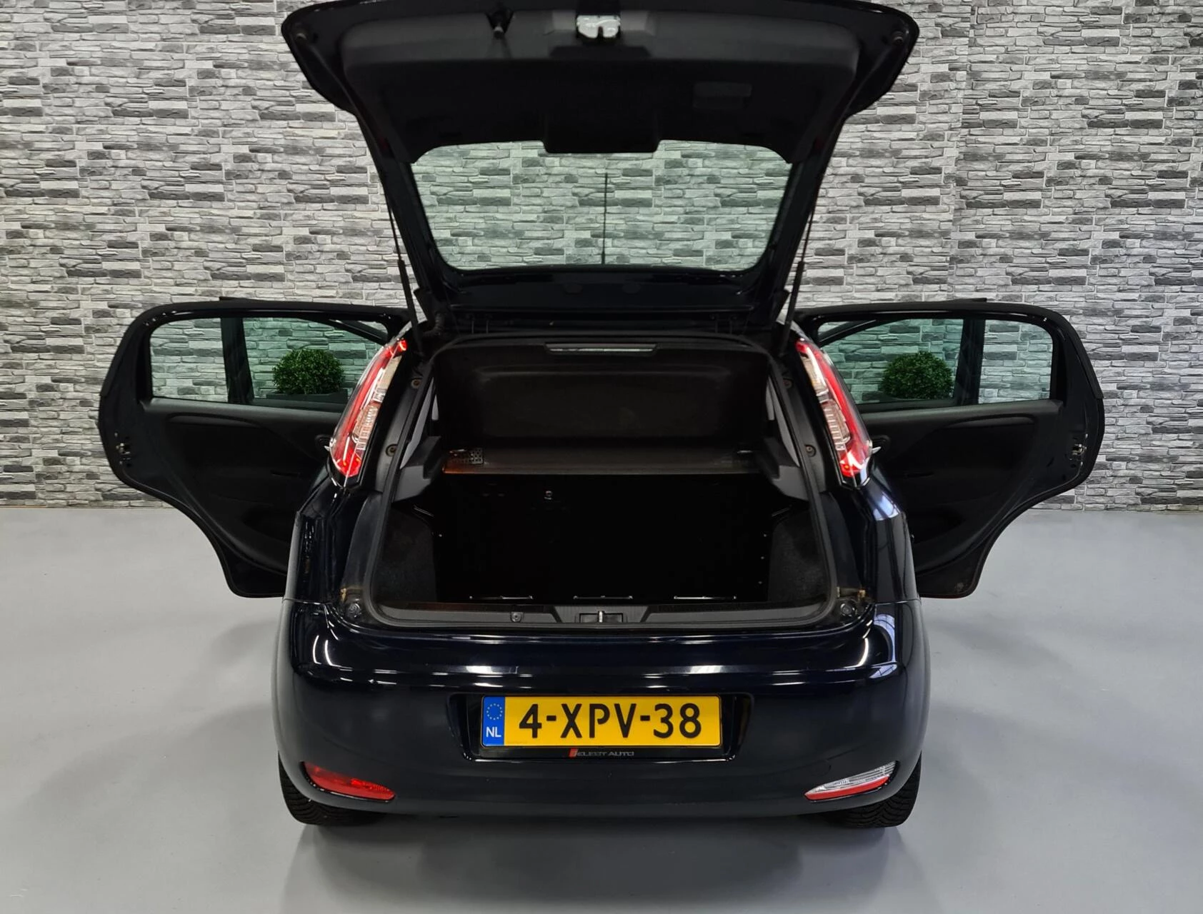 Hoofdafbeelding Fiat Punto