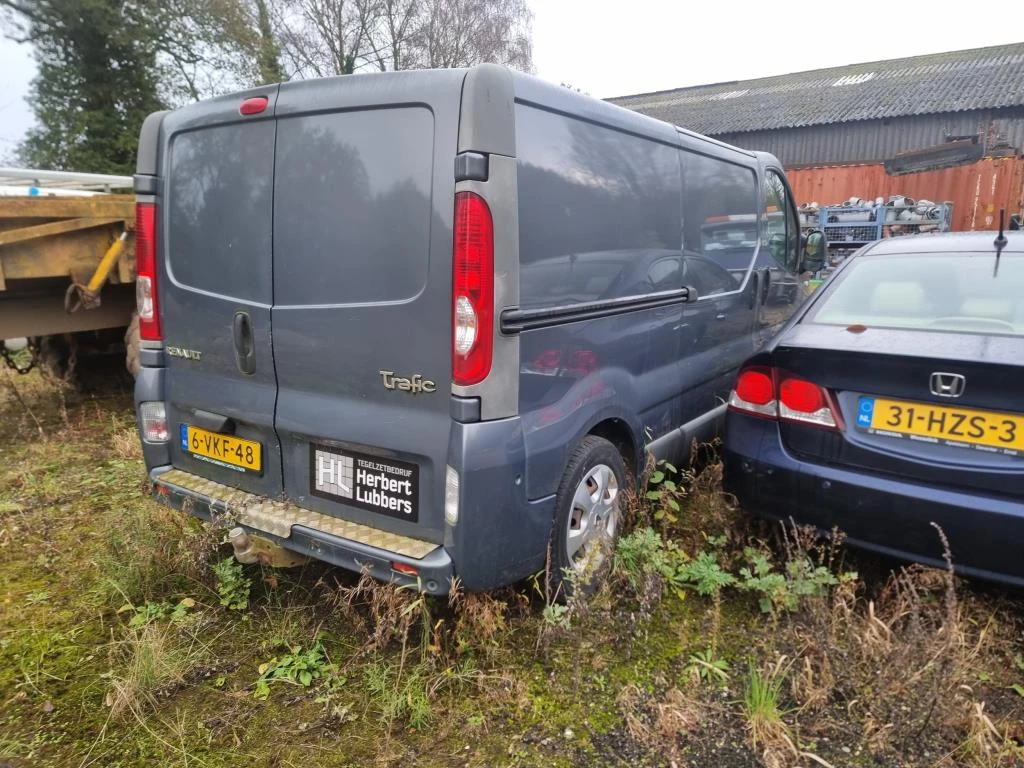 Hoofdafbeelding Renault Trafic