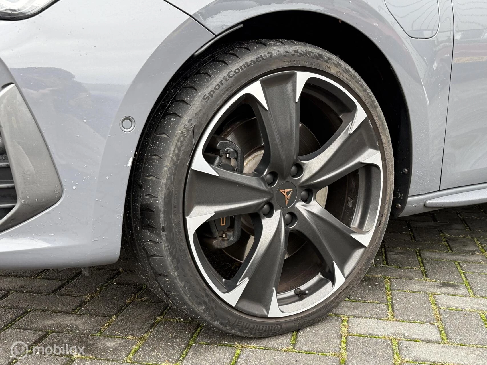 Hoofdafbeelding CUPRA Leon Sportstourer