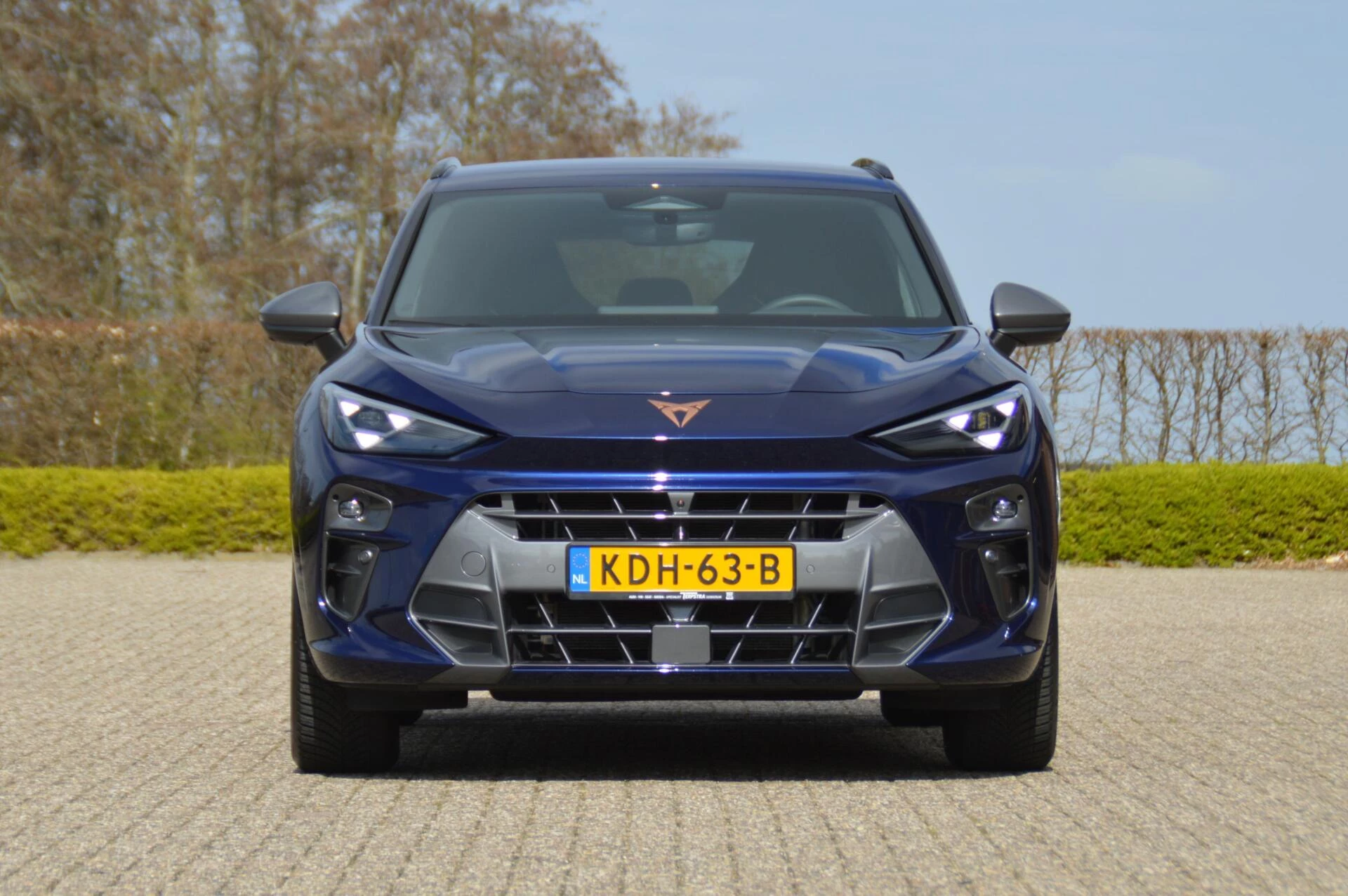 Hoofdafbeelding CUPRA Terramar