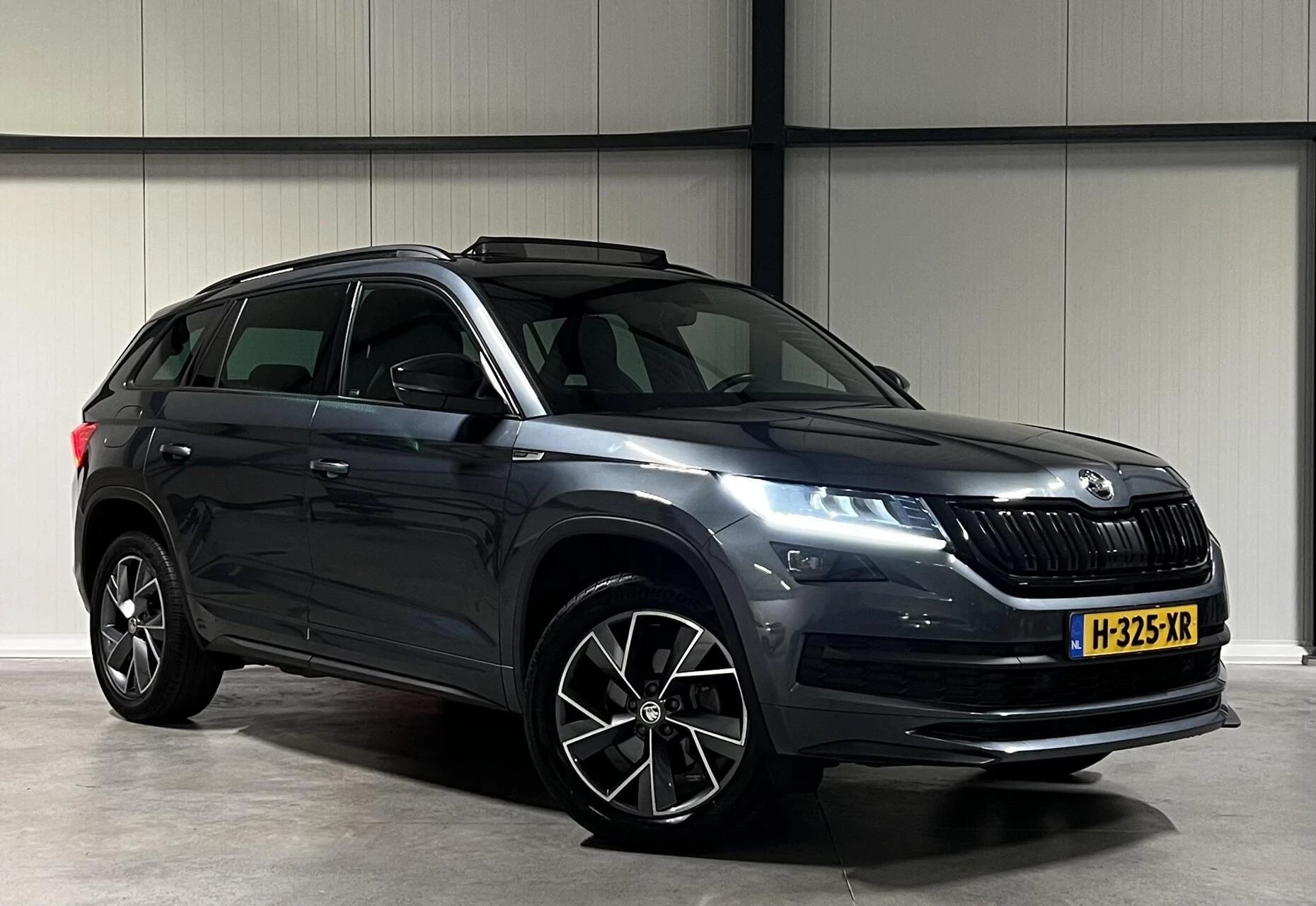 Hoofdafbeelding Škoda Kodiaq