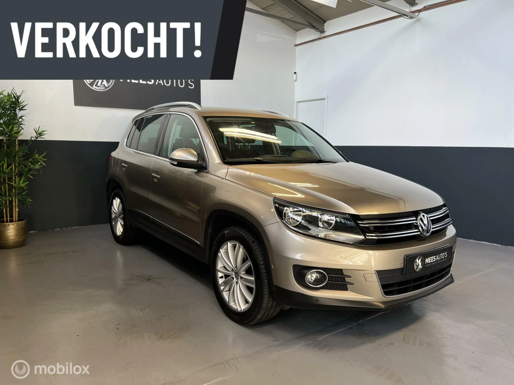 Hoofdafbeelding Volkswagen Tiguan