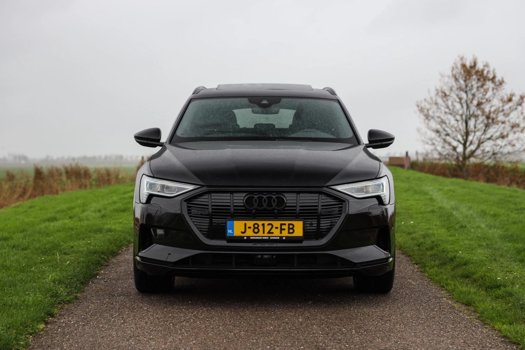 Hoofdafbeelding Audi e-tron