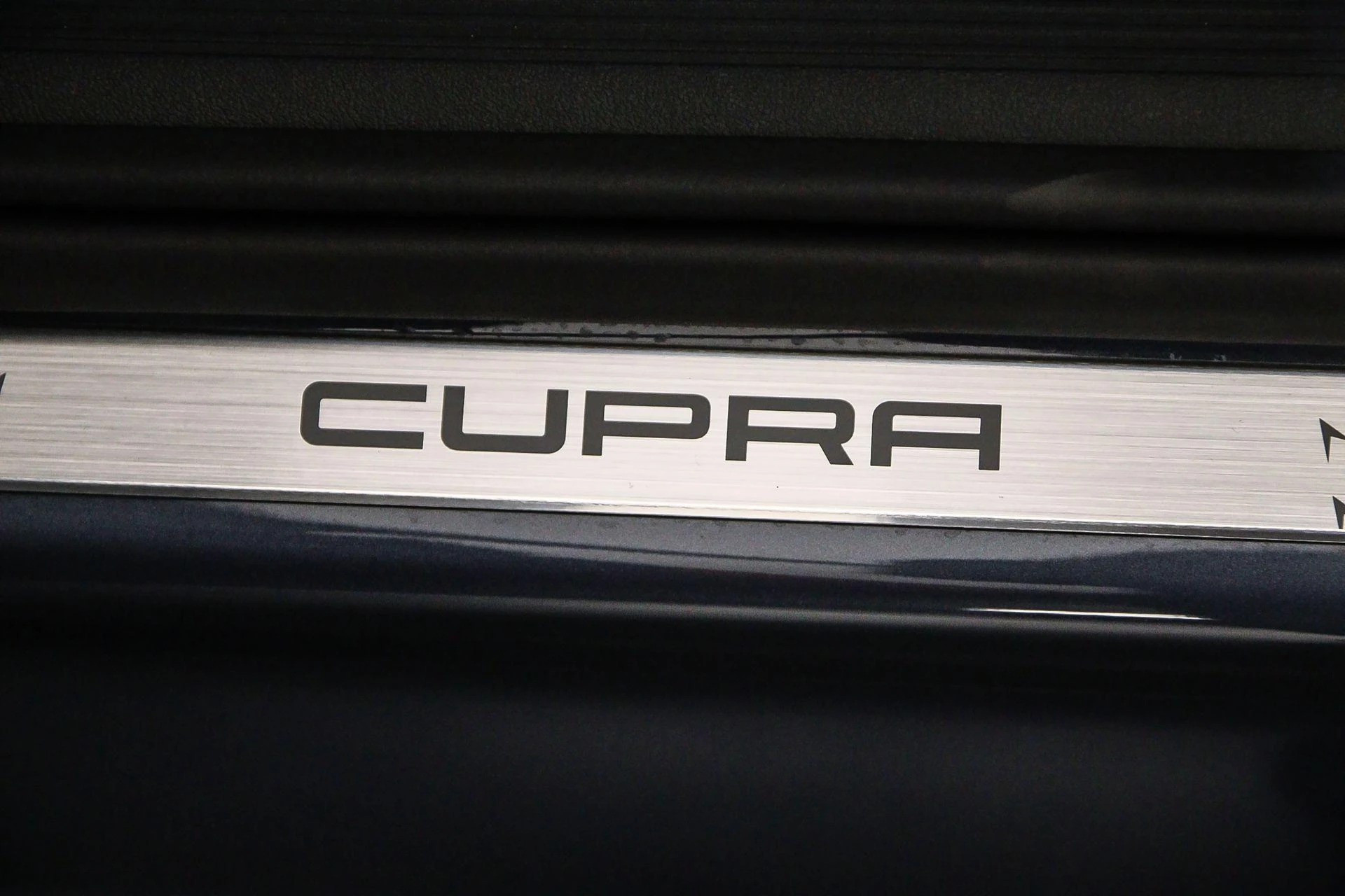 Hoofdafbeelding CUPRA Tavascan