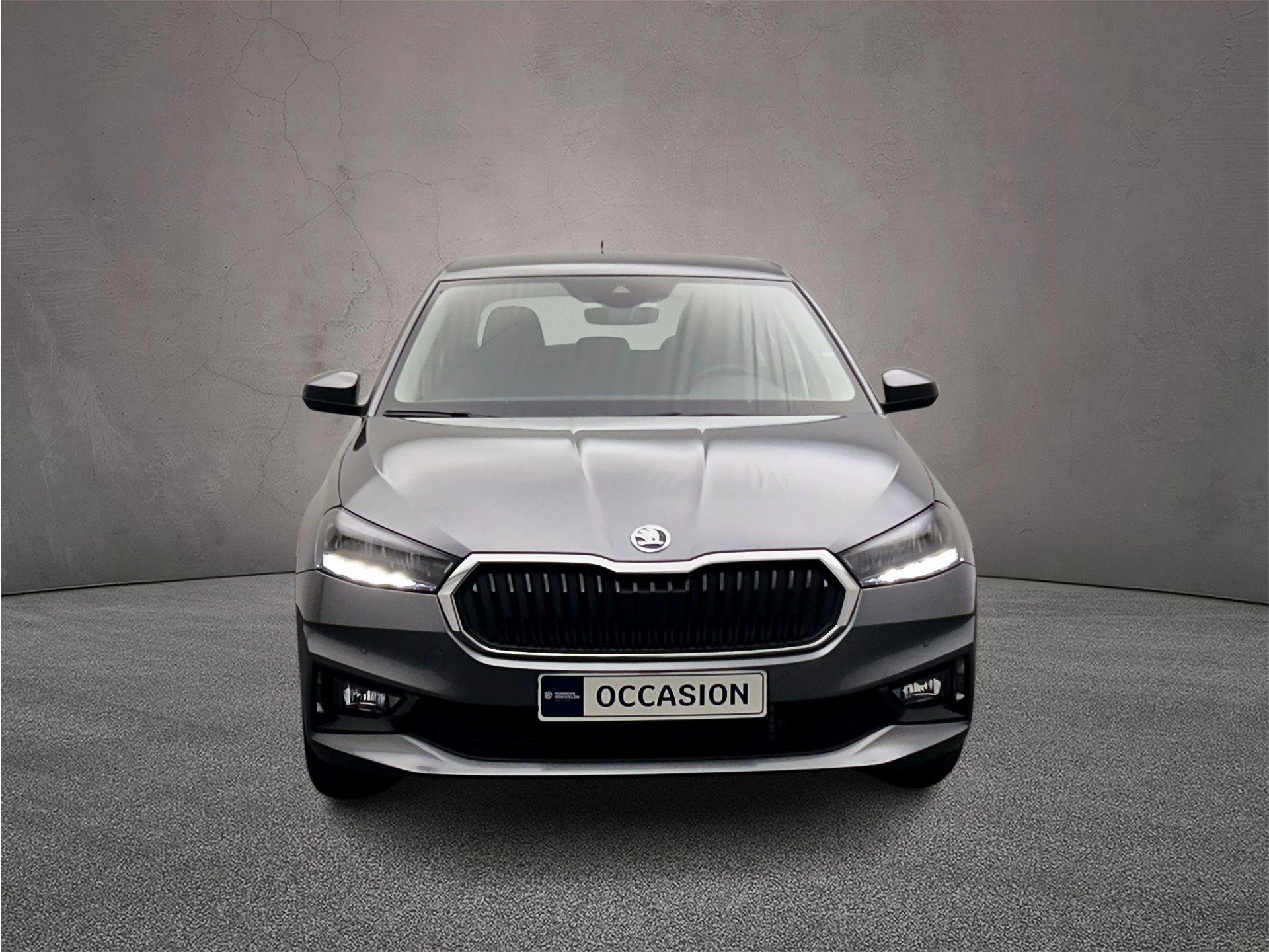 Hoofdafbeelding Škoda Fabia