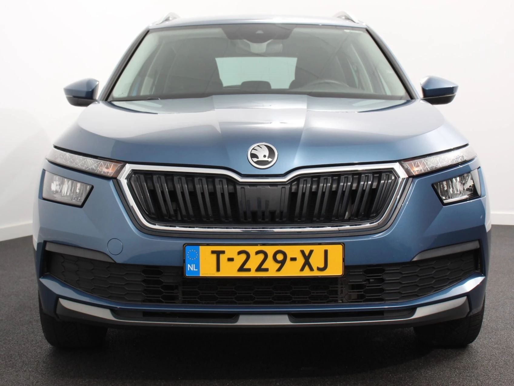 Hoofdafbeelding Škoda Kamiq