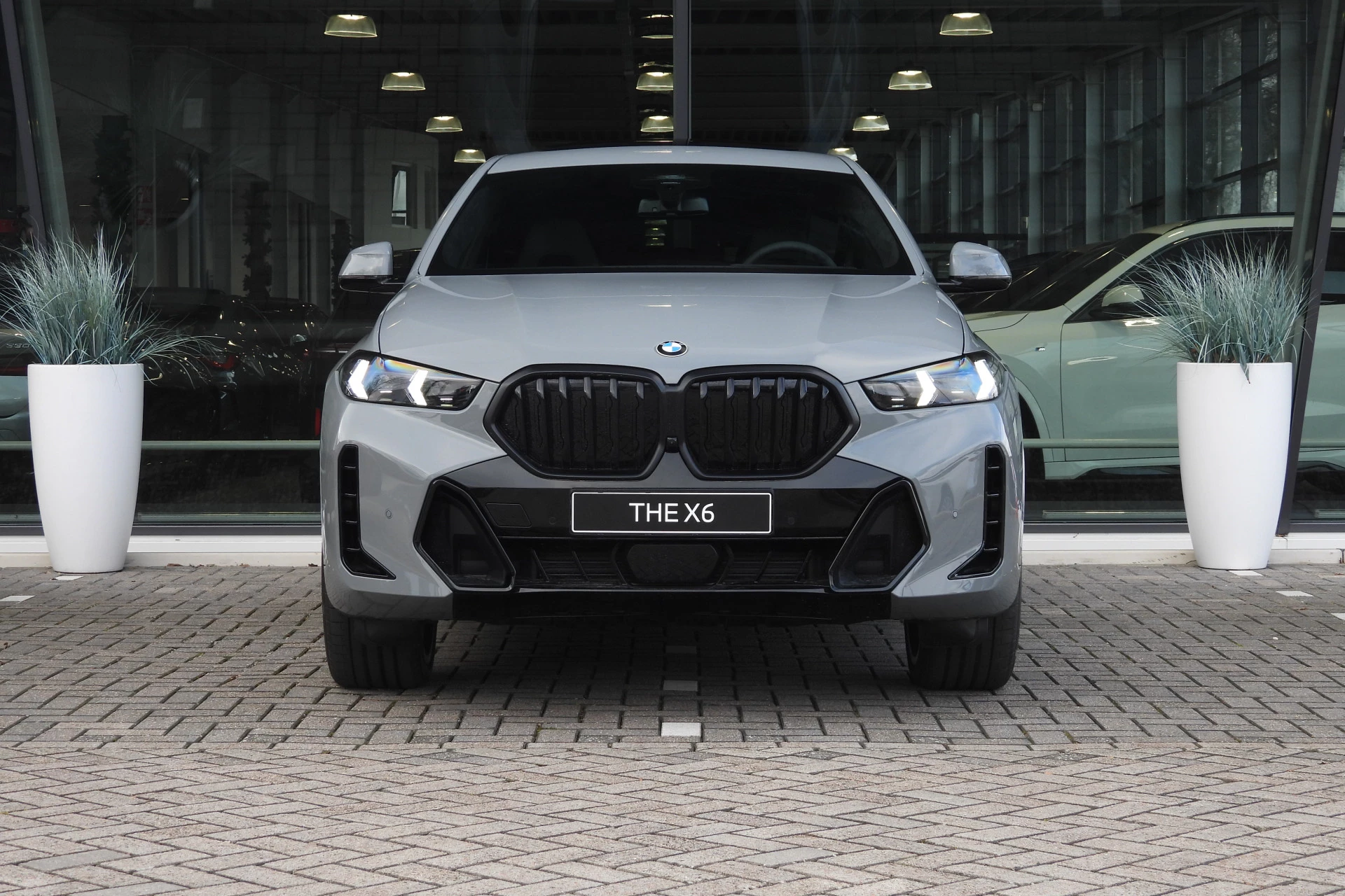 Hoofdafbeelding BMW X6