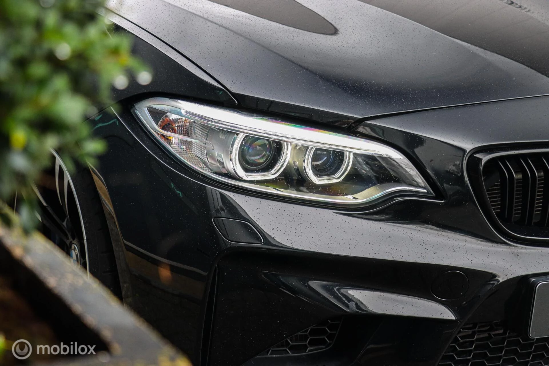 Hoofdafbeelding BMW M2