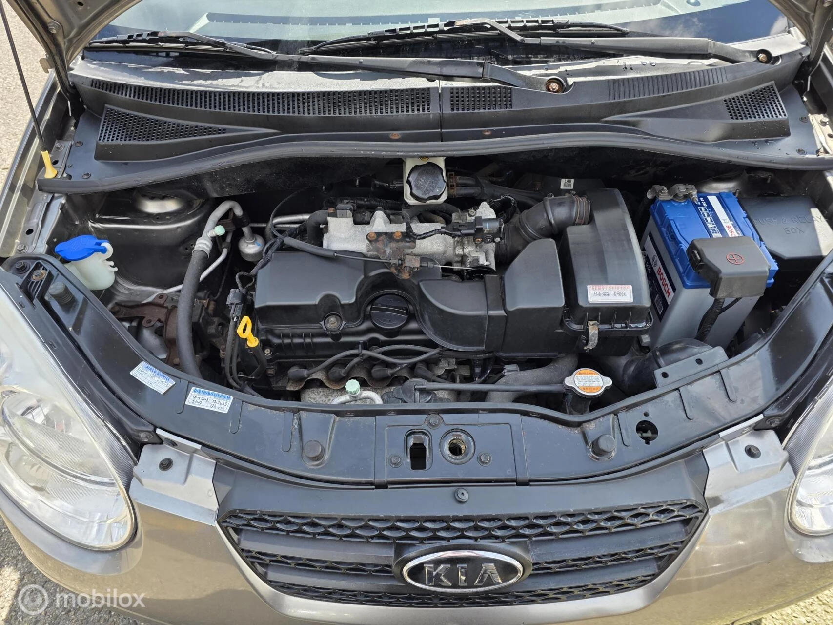 Hoofdafbeelding Kia Picanto