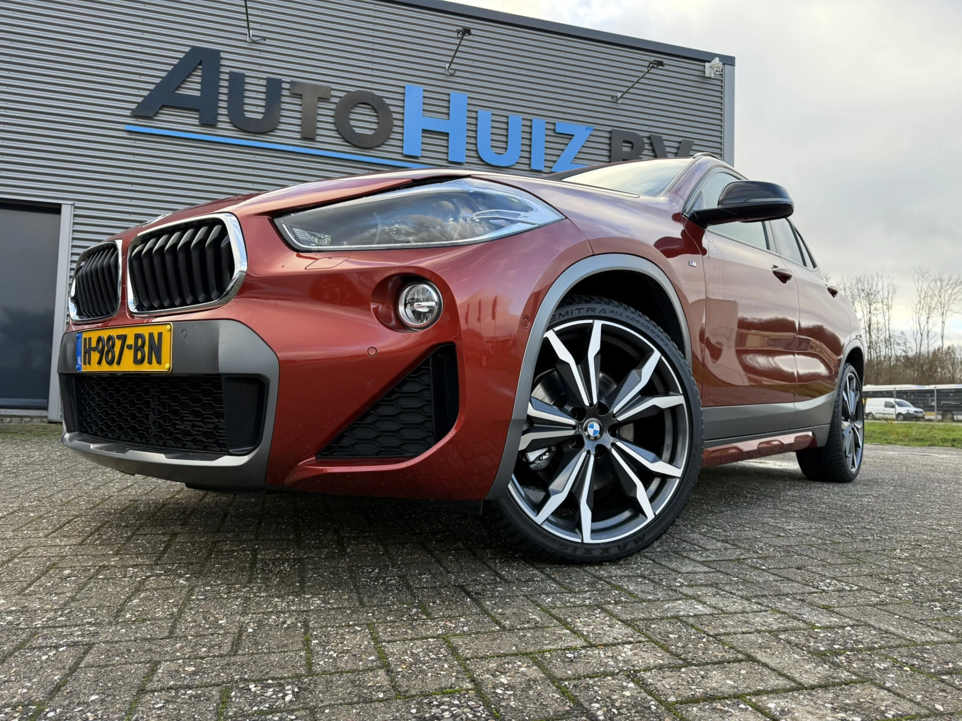 Hoofdafbeelding BMW X2