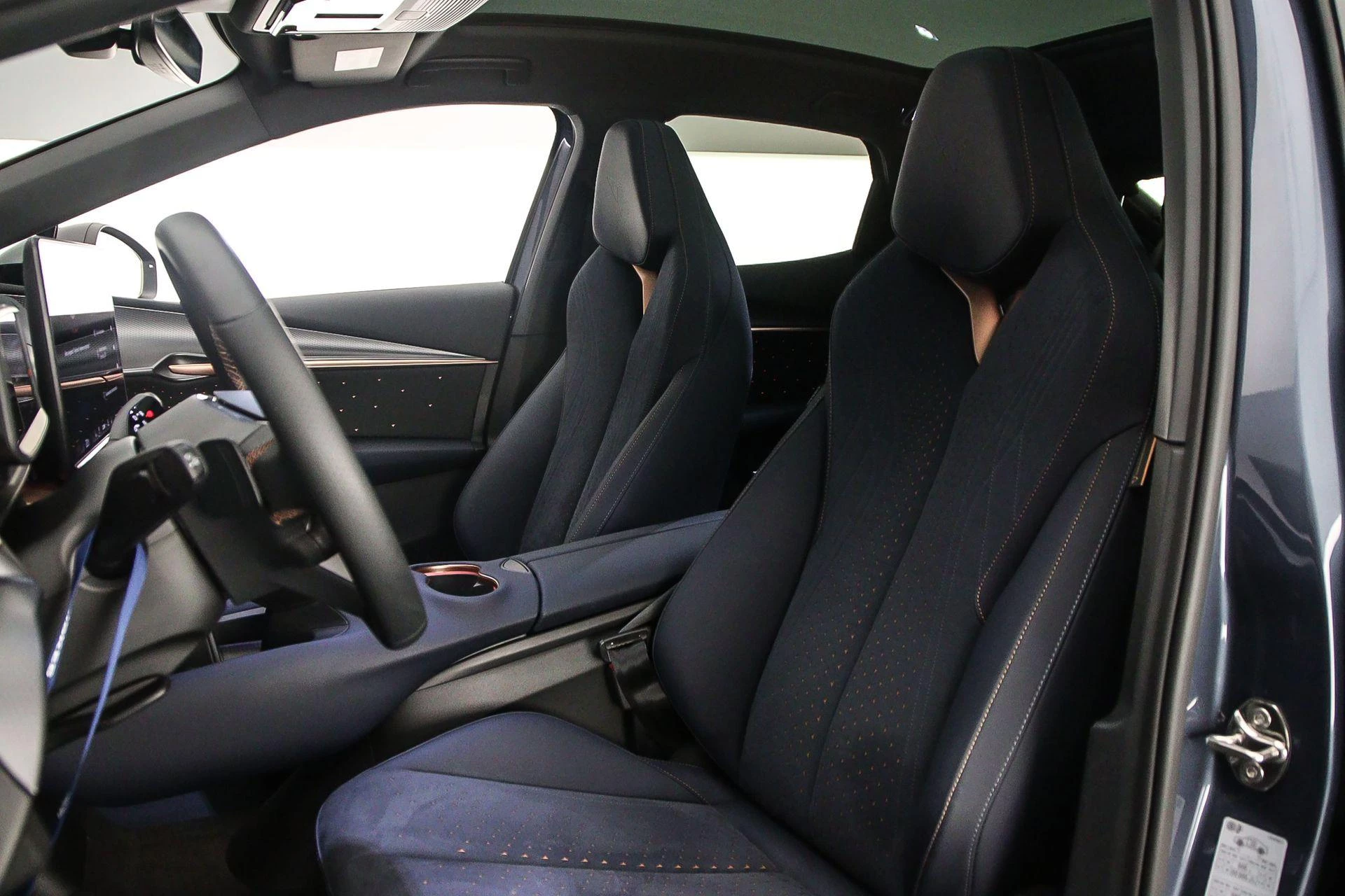 Hoofdafbeelding CUPRA Tavascan