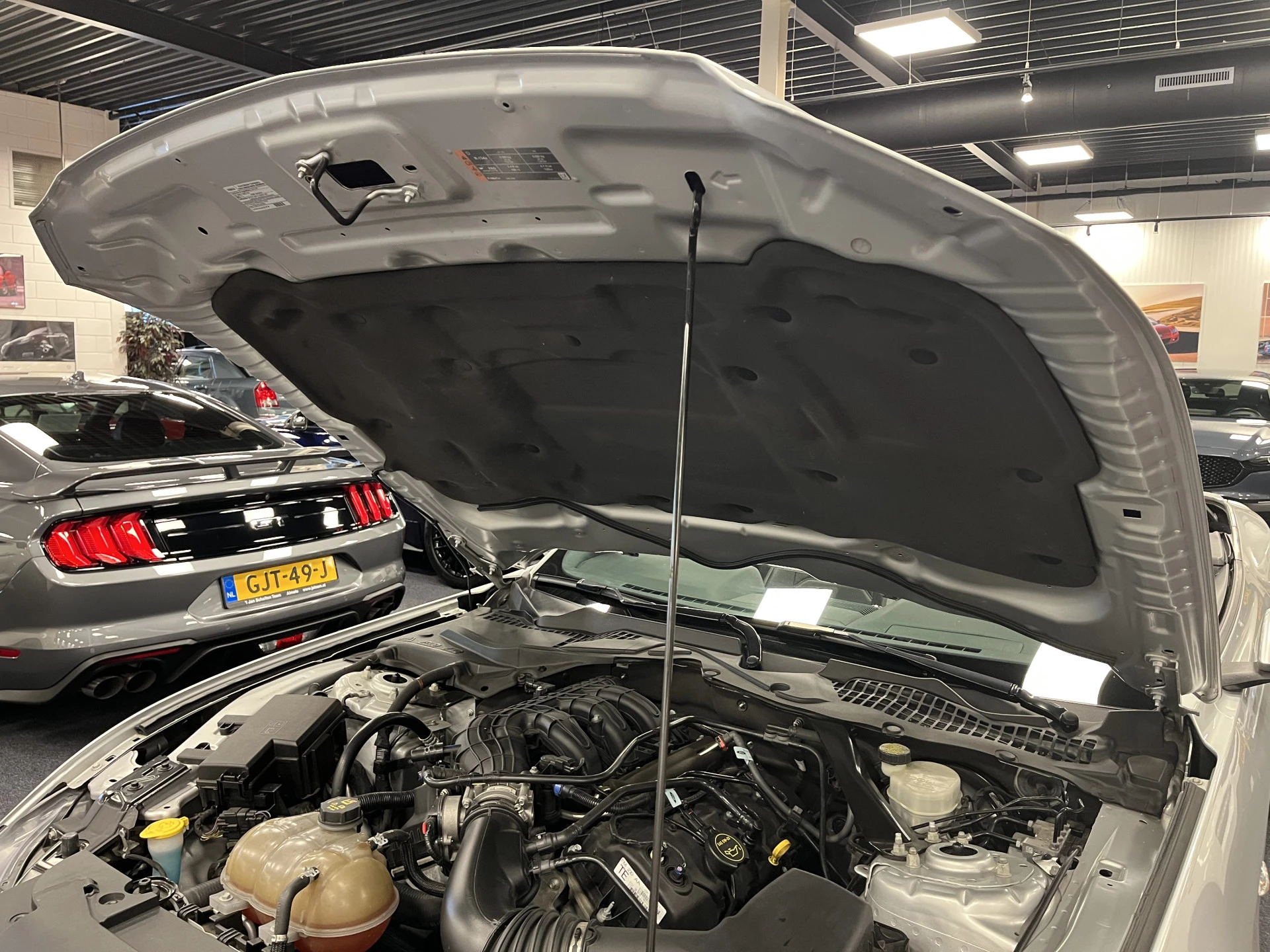 Hoofdafbeelding Ford Mustang