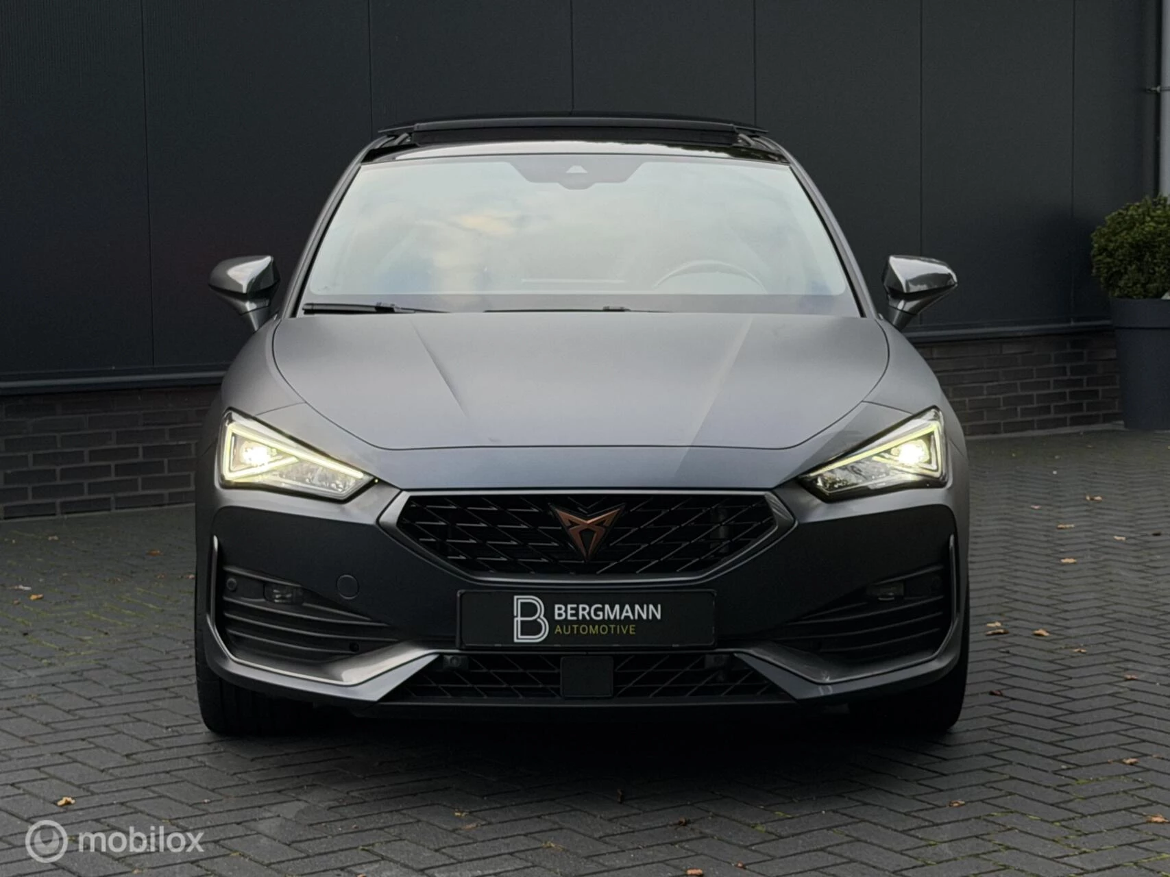Hoofdafbeelding CUPRA Leon