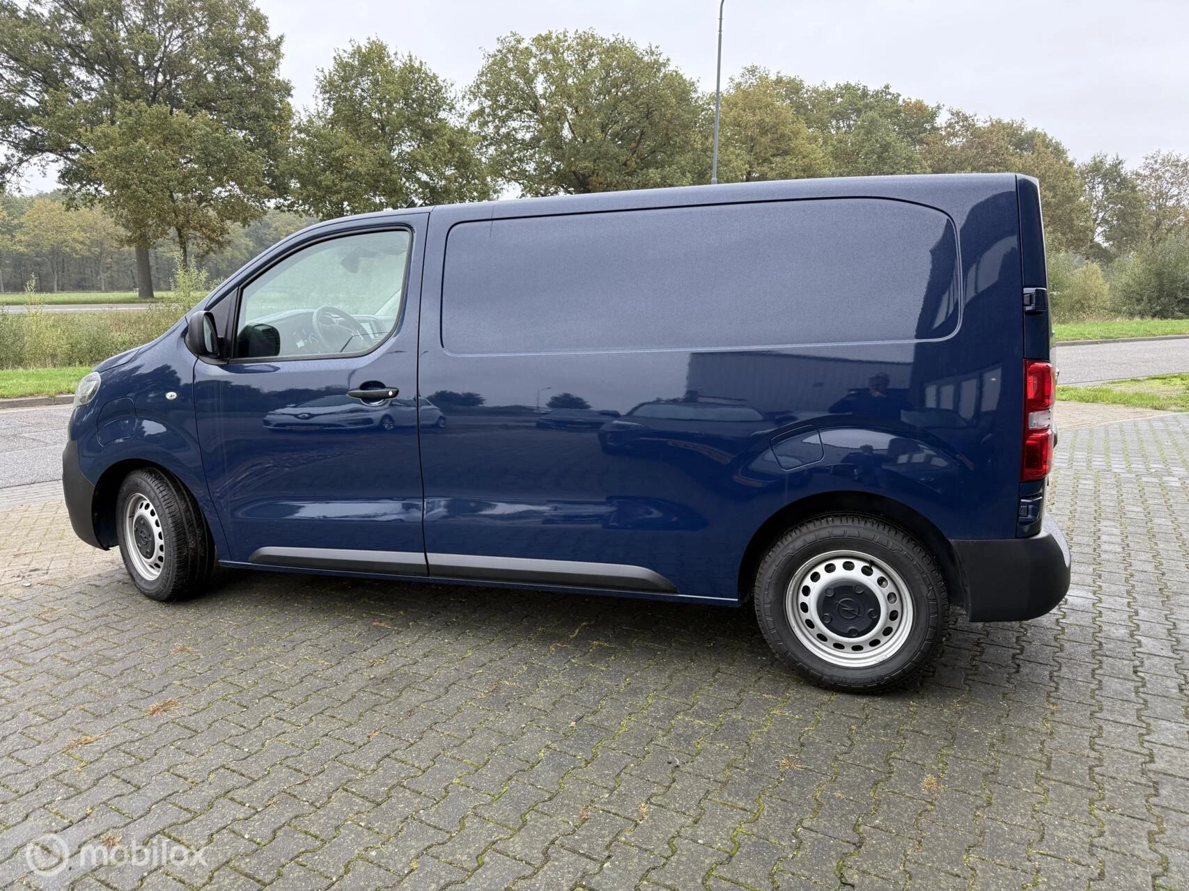Hoofdafbeelding Opel Vivaro-e