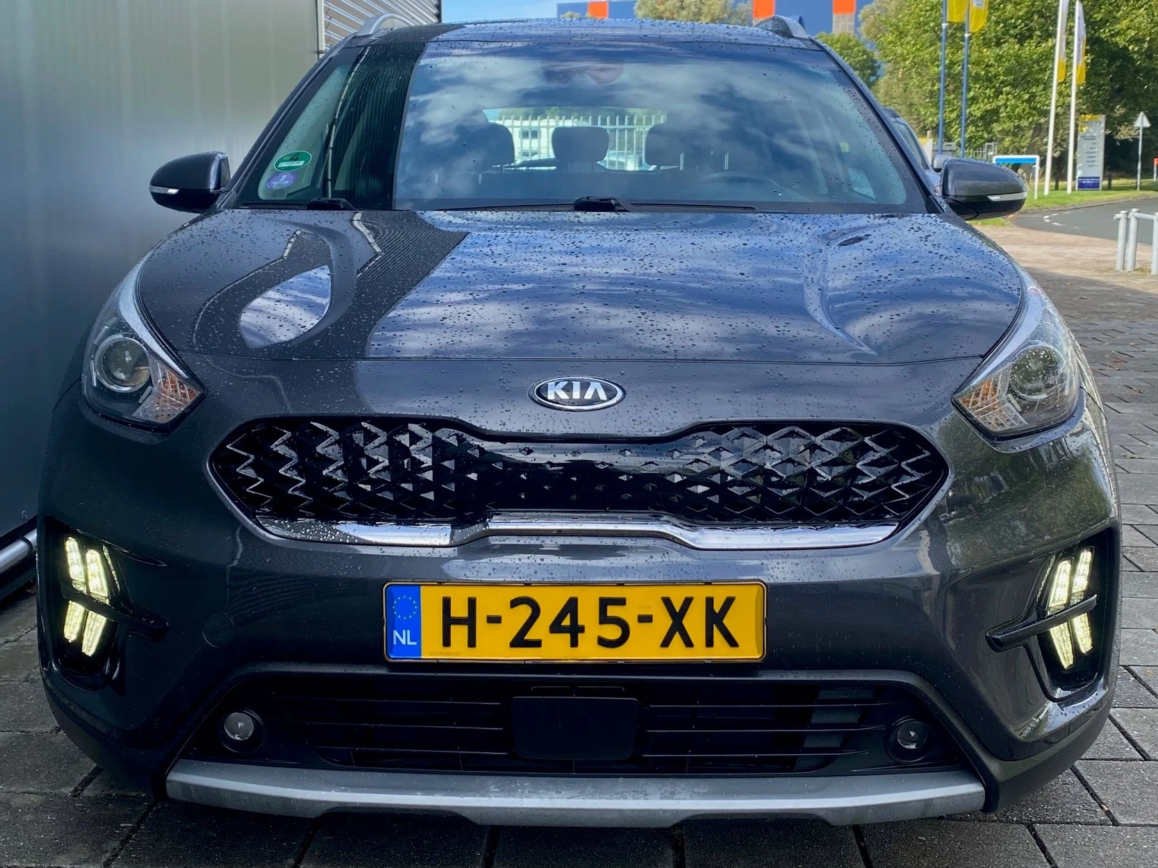 Hoofdafbeelding Kia Niro