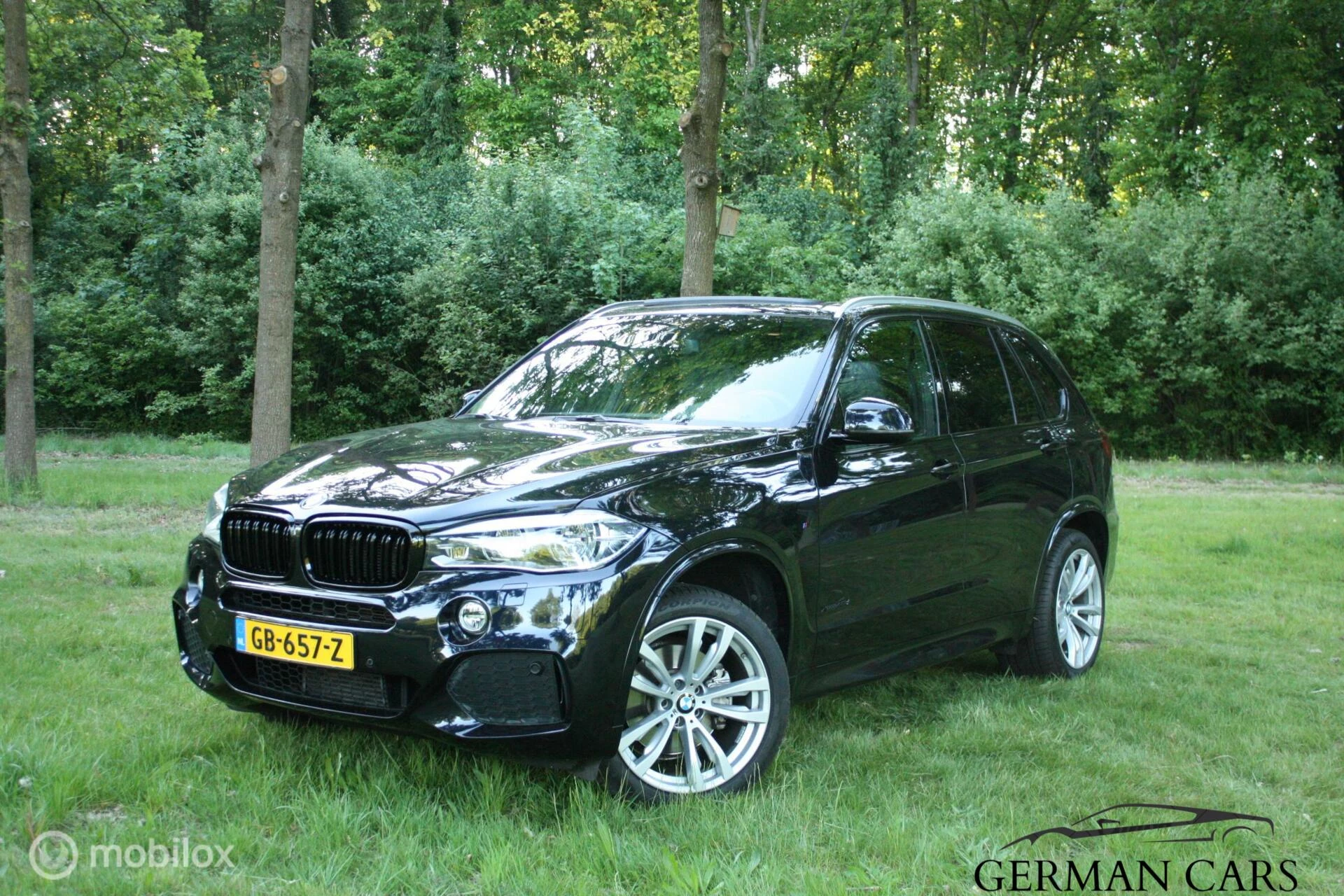 Hoofdafbeelding BMW X5