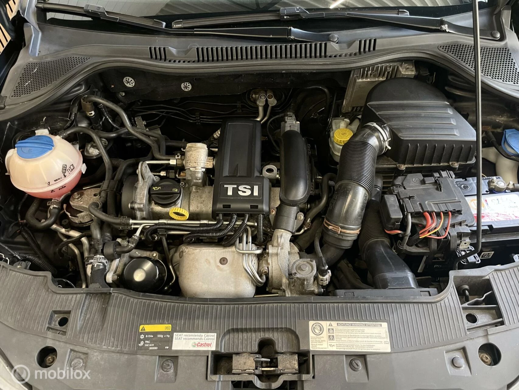 Hoofdafbeelding SEAT Ibiza