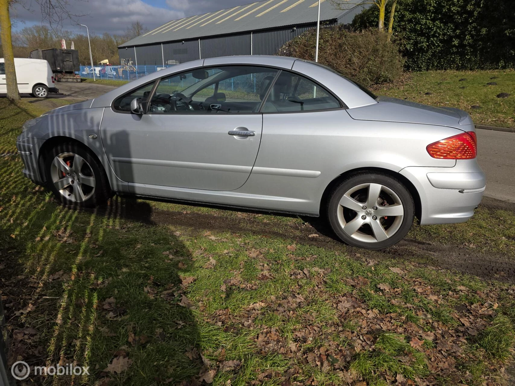 Hoofdafbeelding Peugeot 307