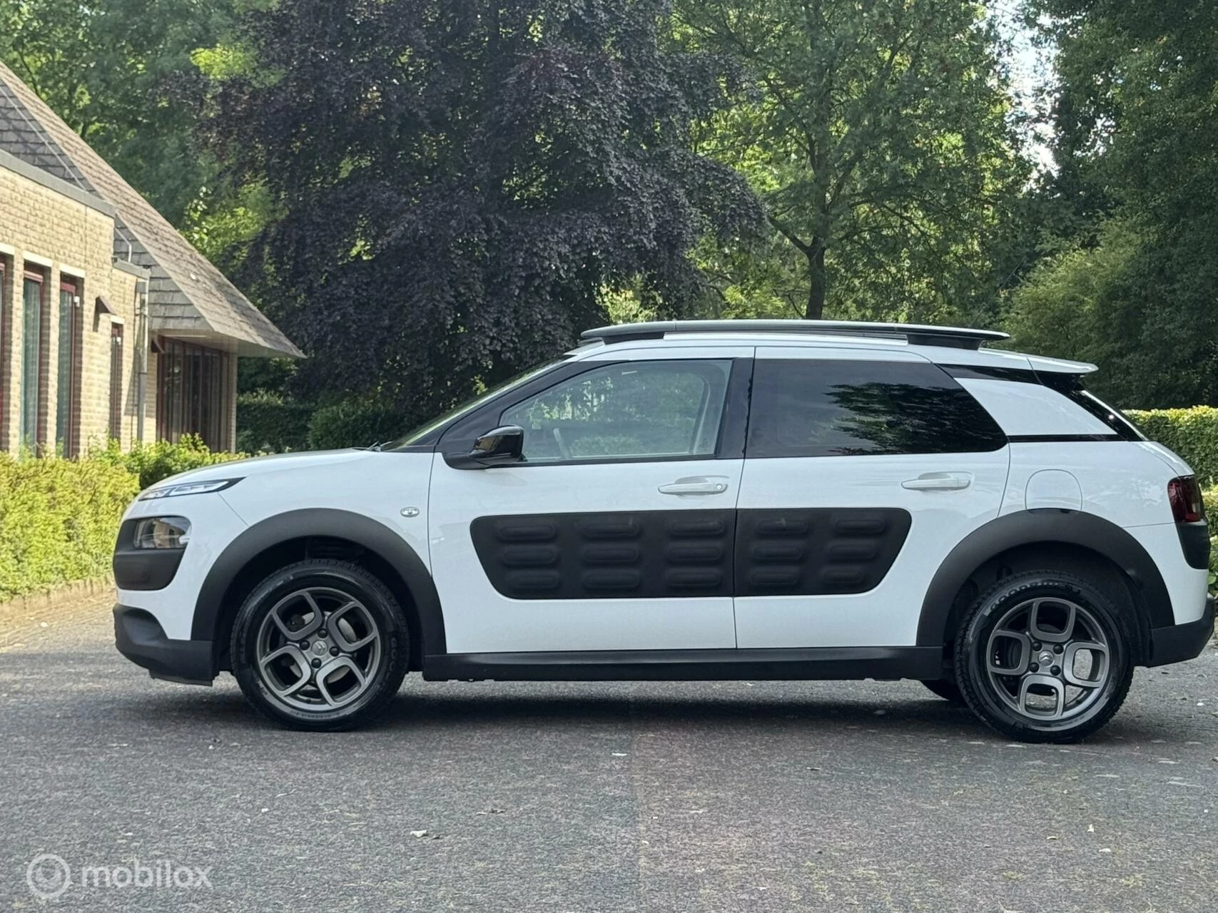 Hoofdafbeelding Citroën C4 Cactus
