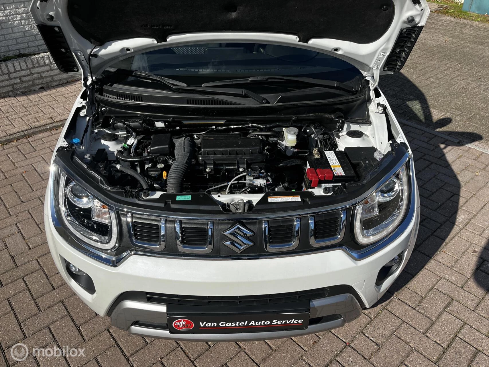 Hoofdafbeelding Suzuki Ignis