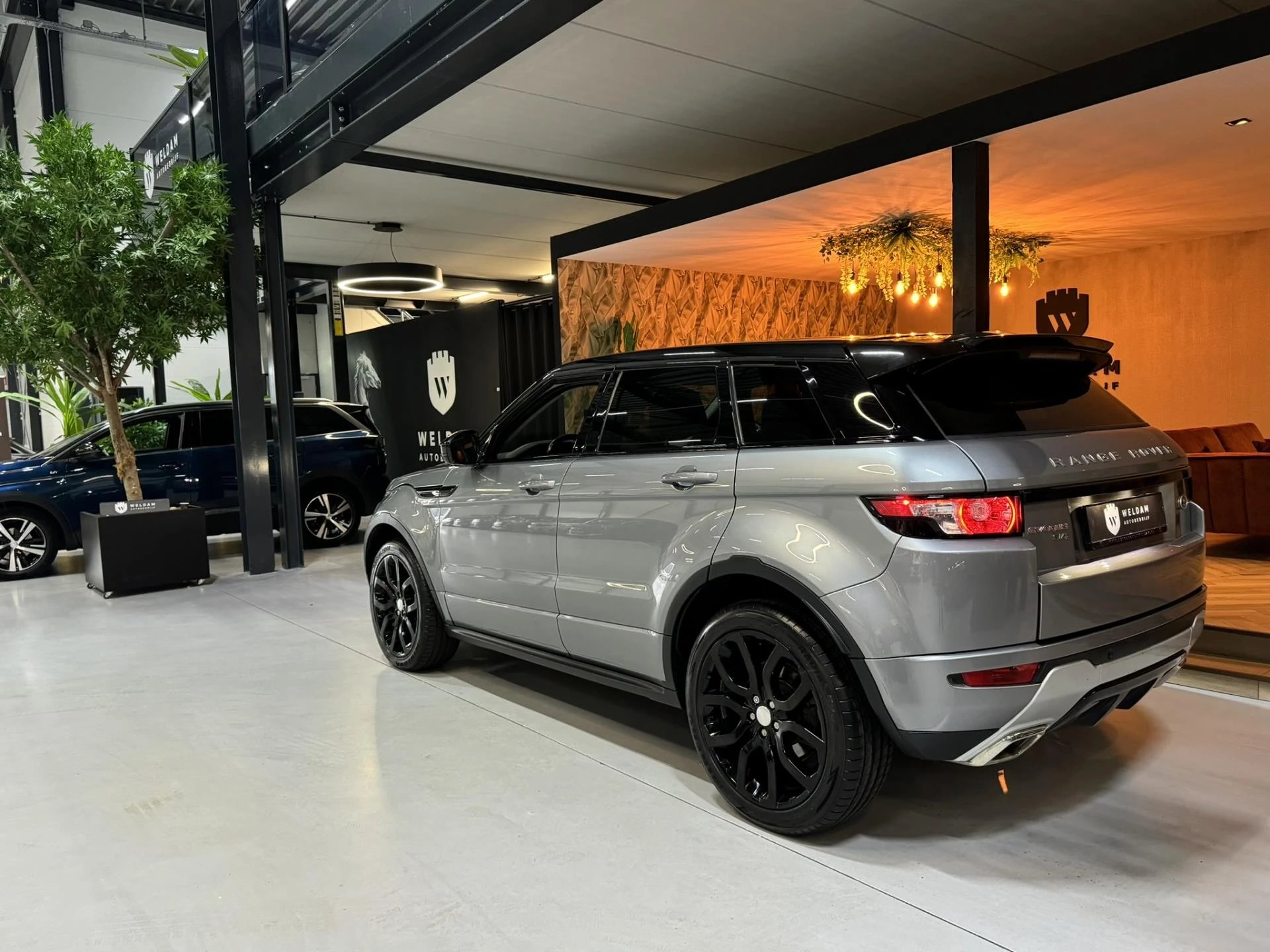 Hoofdafbeelding Land Rover Range Rover Evoque