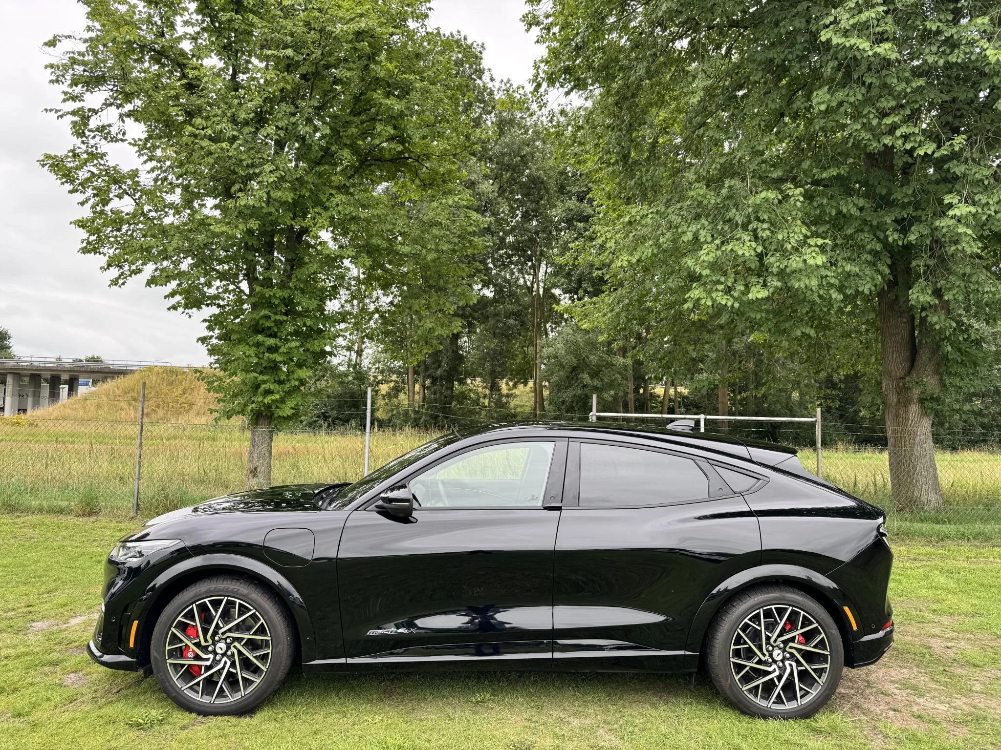 Hoofdafbeelding Ford Mustang Mach-E