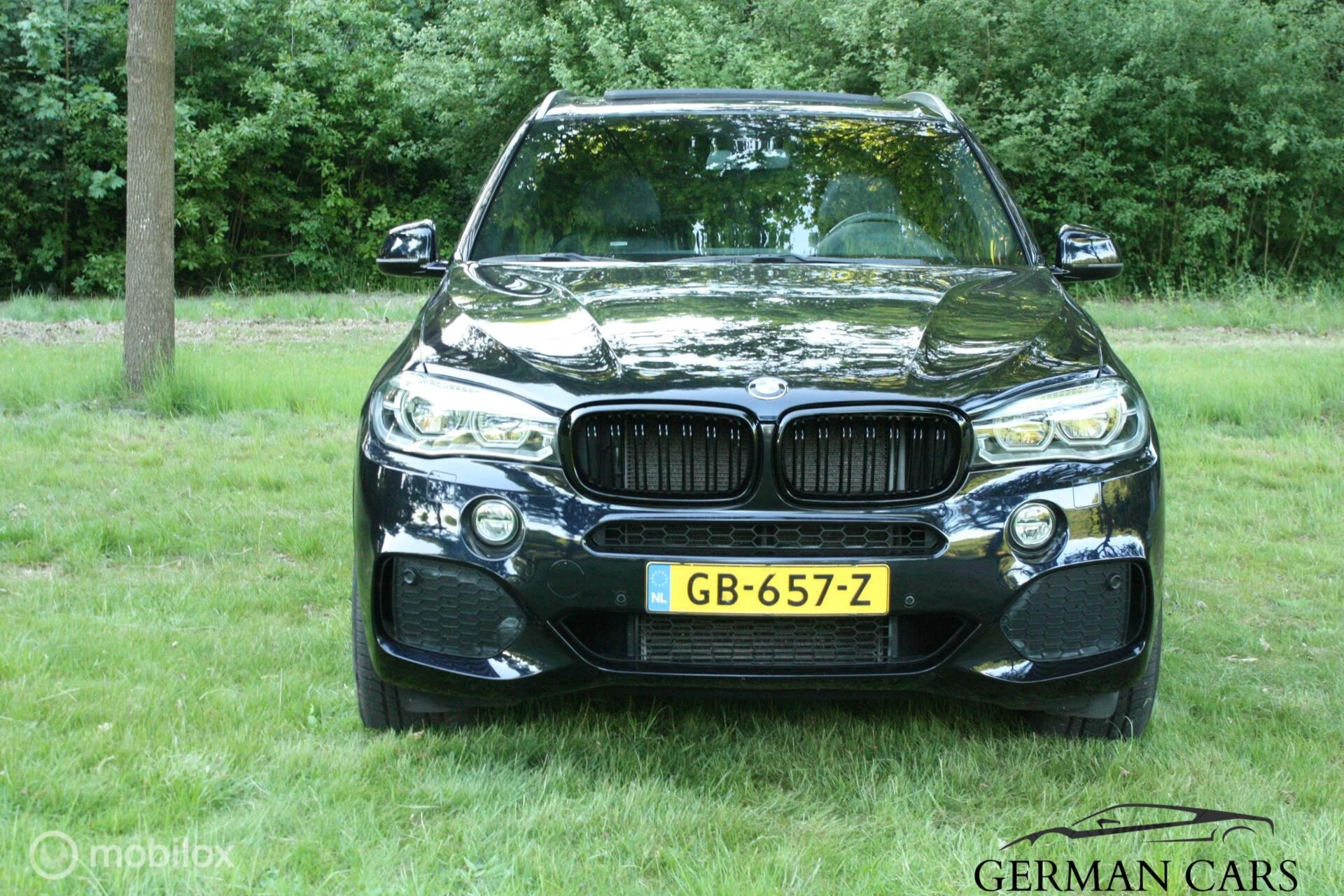 Hoofdafbeelding BMW X5