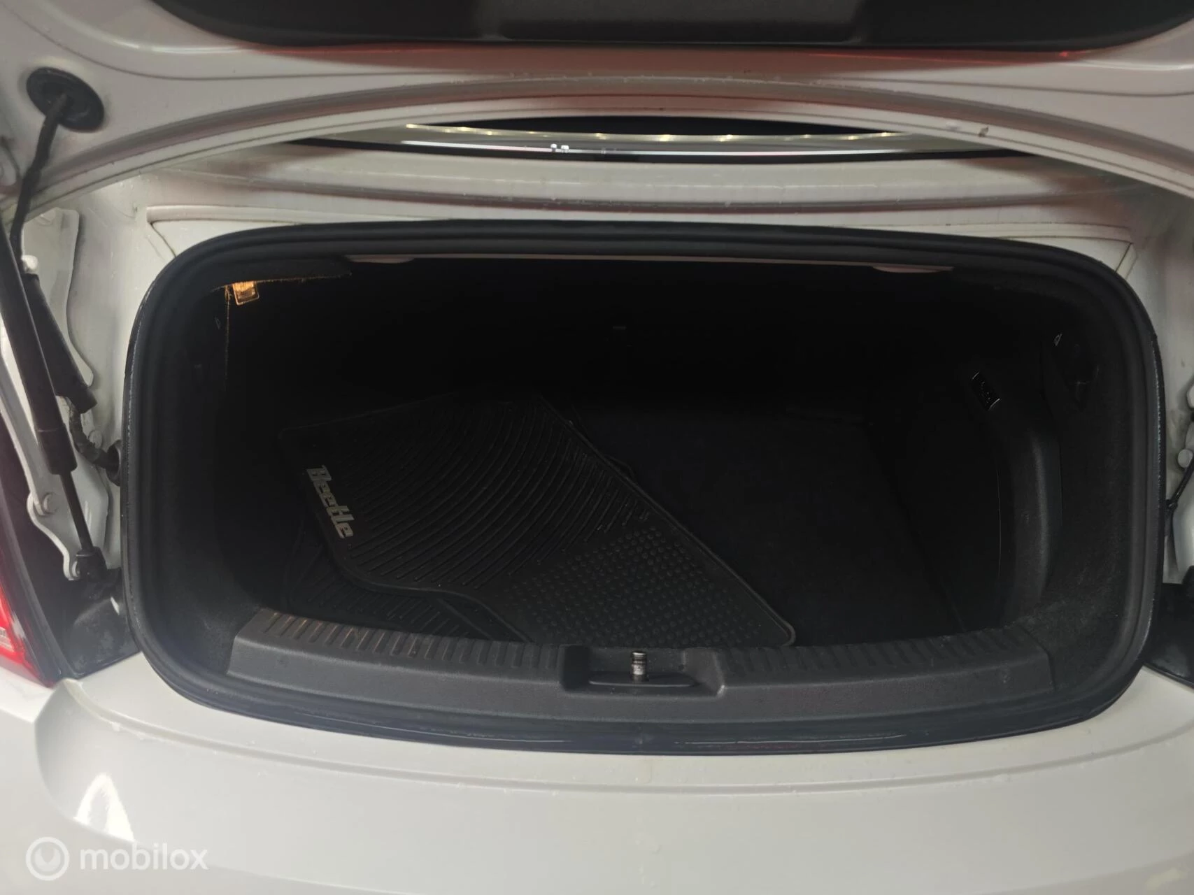Hoofdafbeelding Volkswagen Beetle