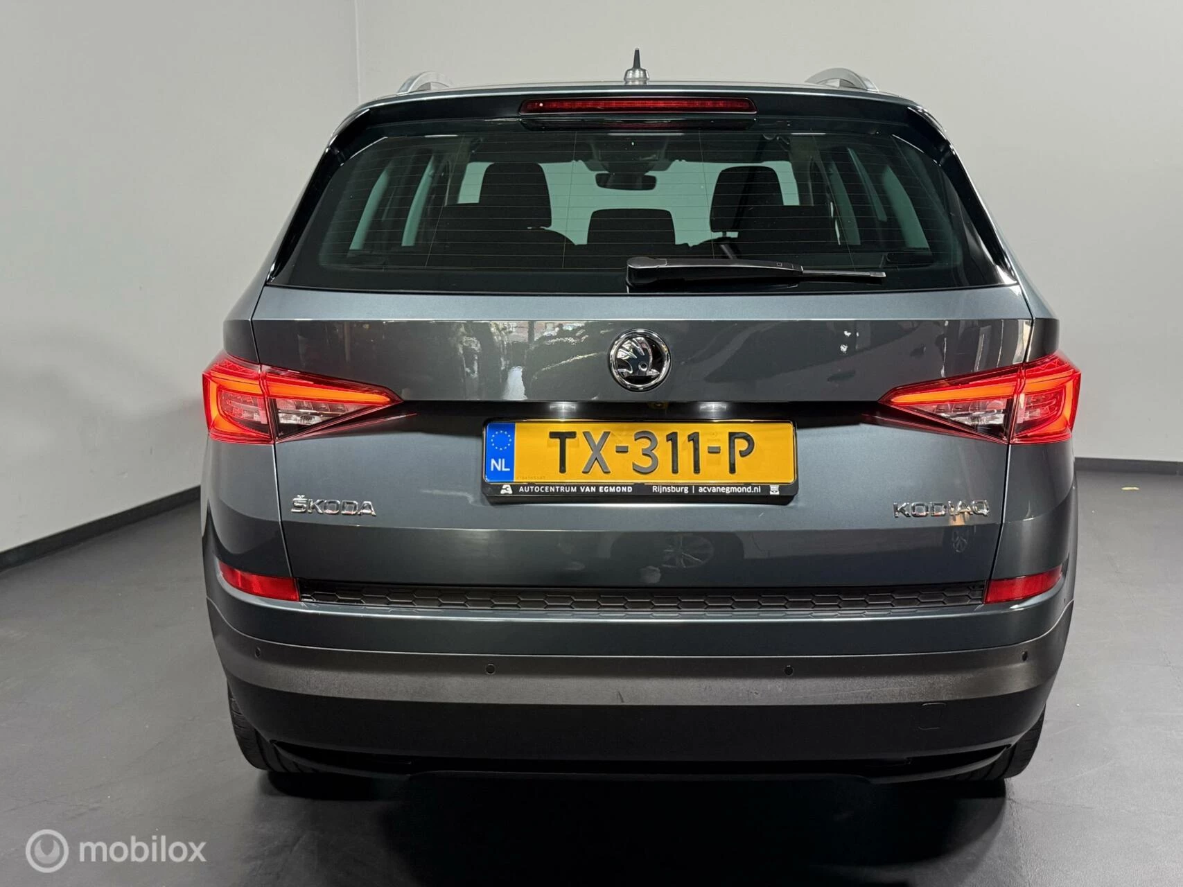 Hoofdafbeelding Škoda Kodiaq