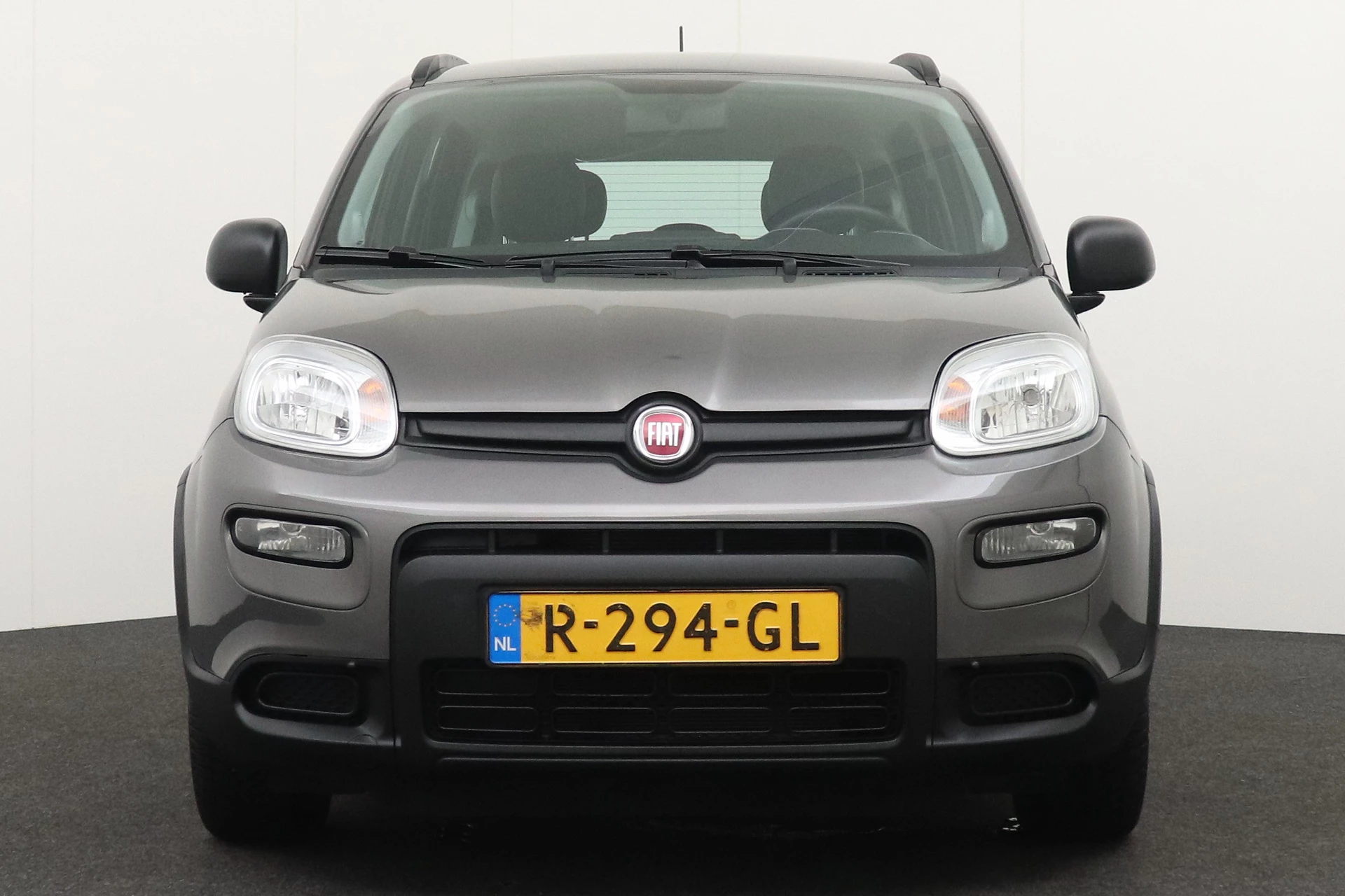 Hoofdafbeelding Fiat Panda