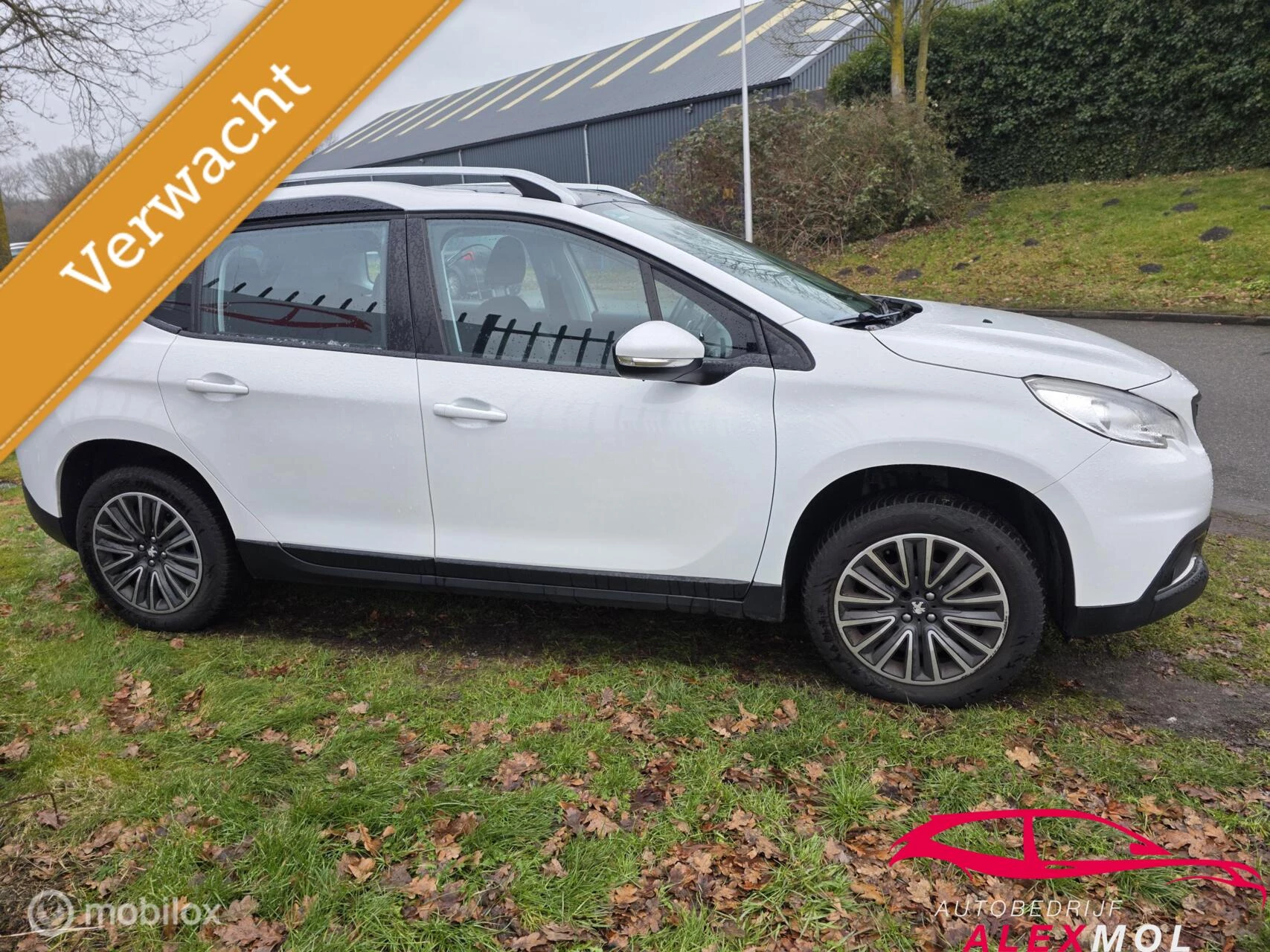 Hoofdafbeelding Peugeot 2008