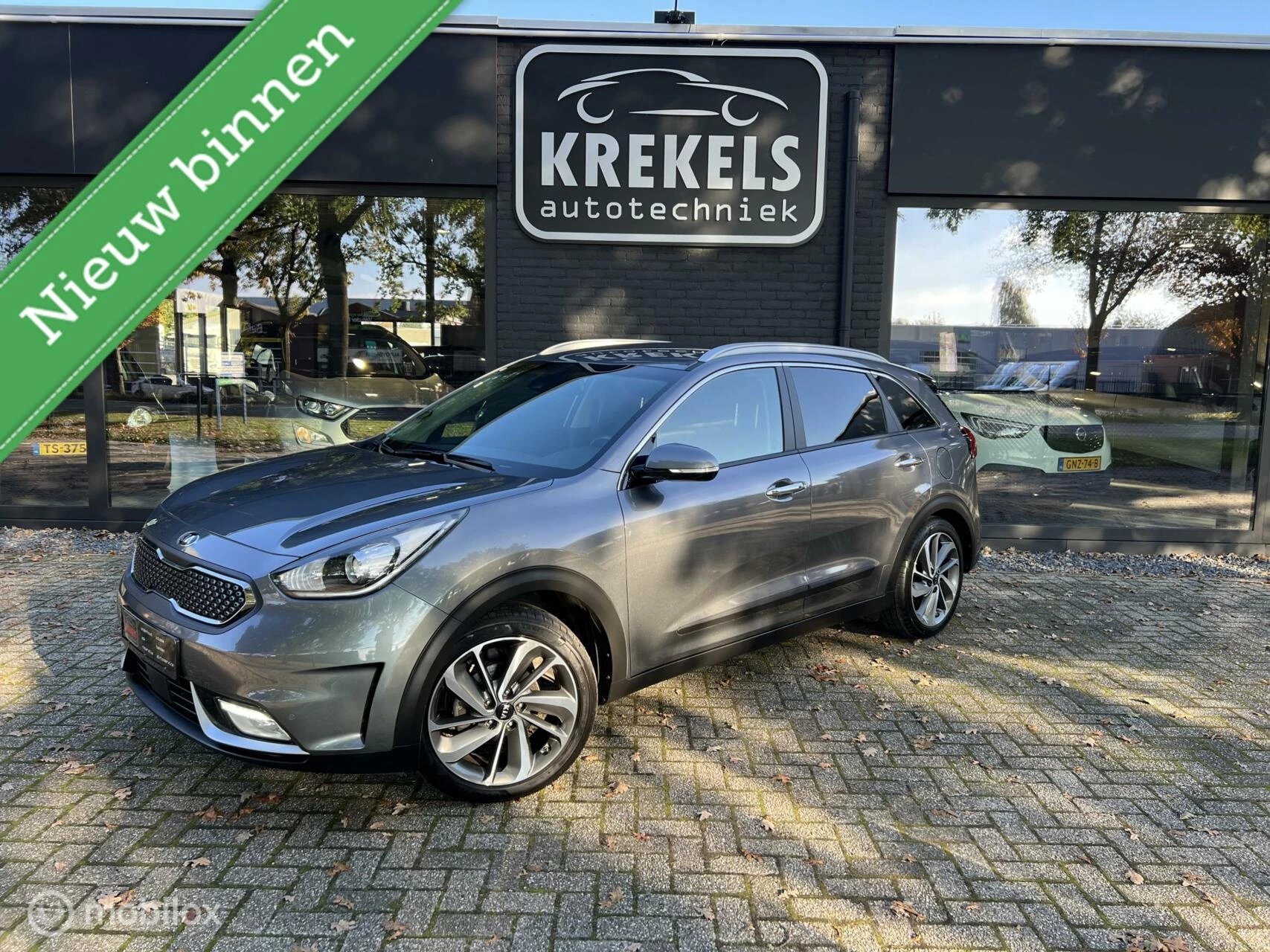 Hoofdafbeelding Kia Niro