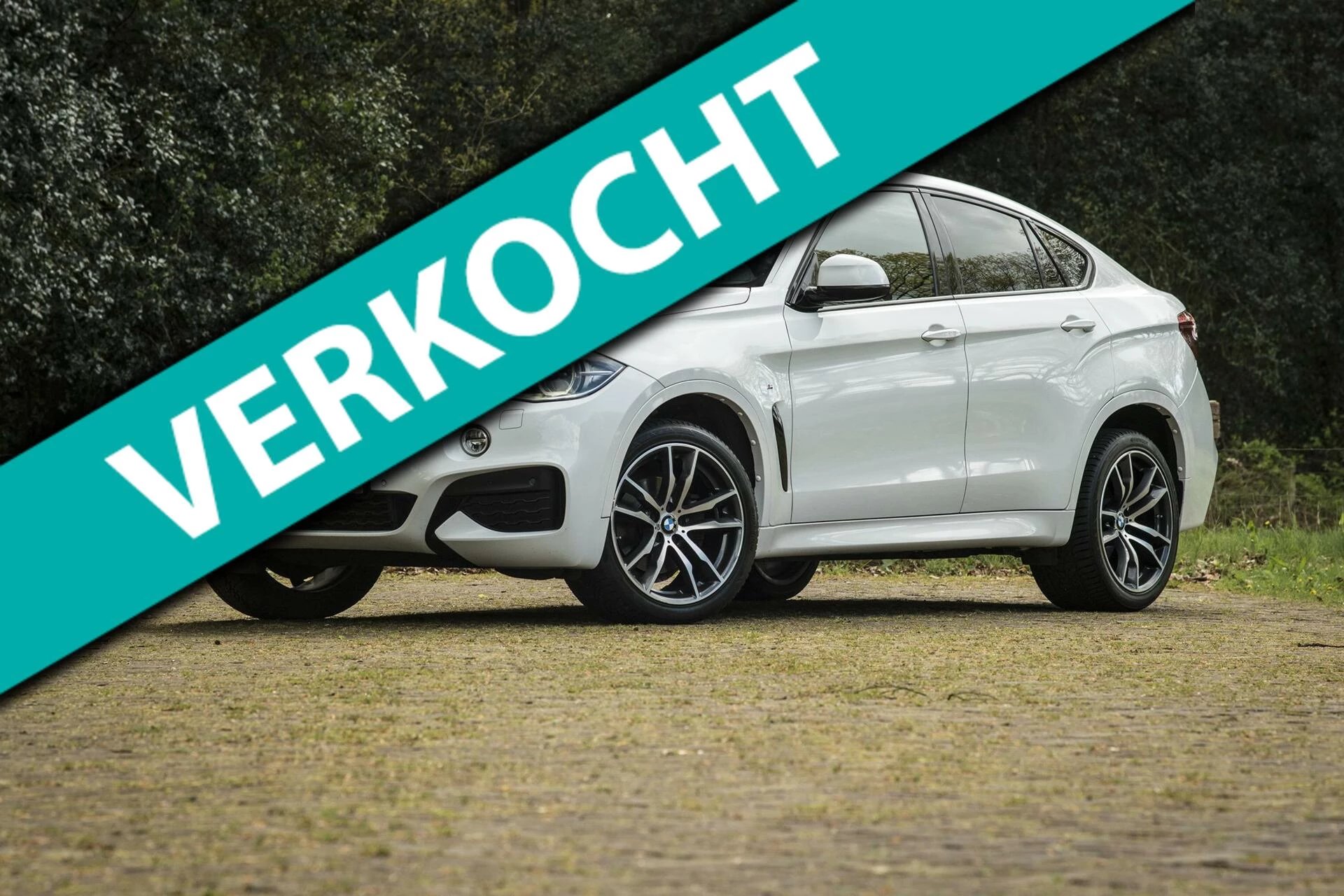 Hoofdafbeelding BMW X6