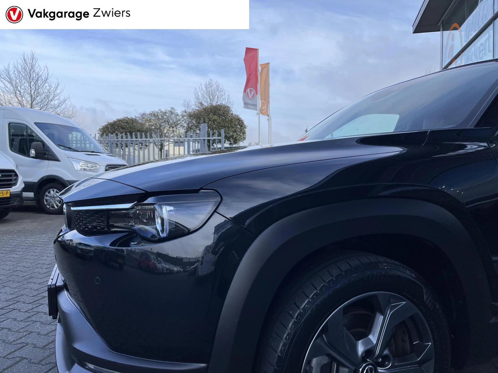 Hoofdafbeelding Mazda MX-30