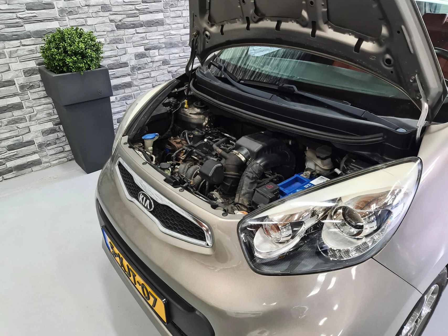 Hoofdafbeelding Kia Picanto