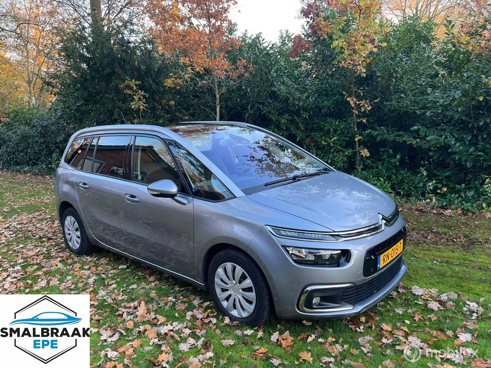 Hoofdafbeelding Citroën Grand C4 Picasso