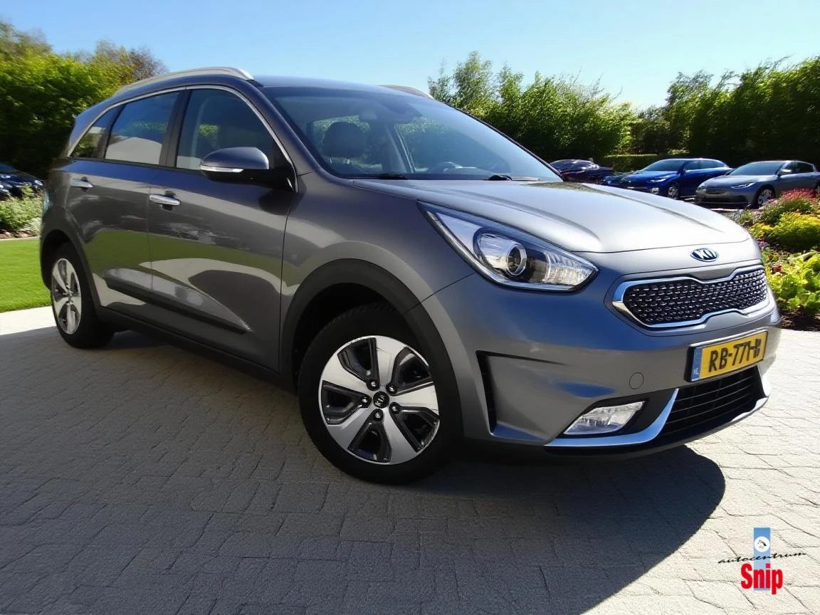 Hoofdafbeelding Kia Niro