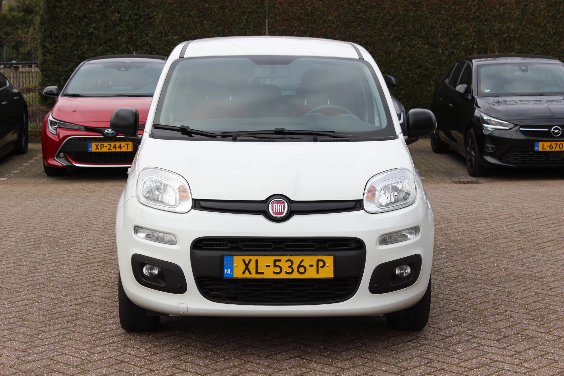 Hoofdafbeelding Fiat Panda