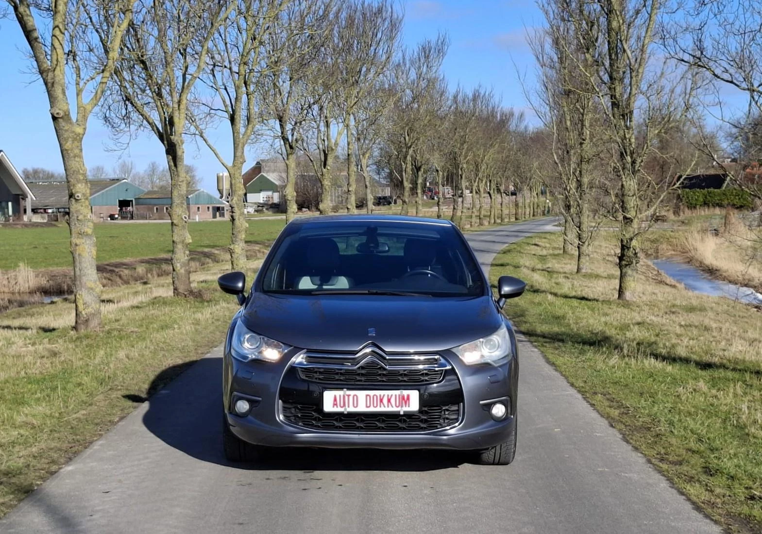 Hoofdafbeelding Citroën DS4