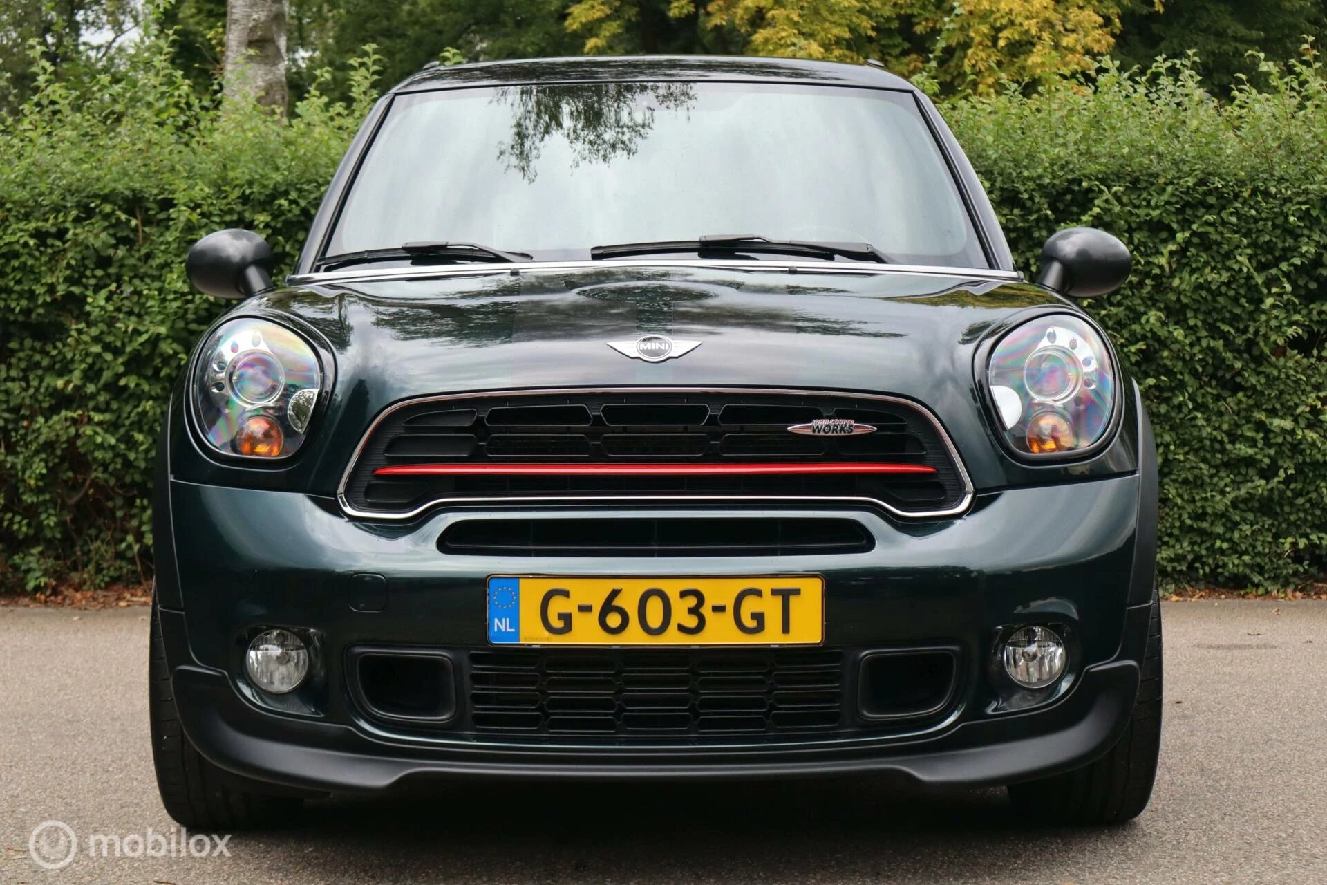 Hoofdafbeelding MINI Paceman