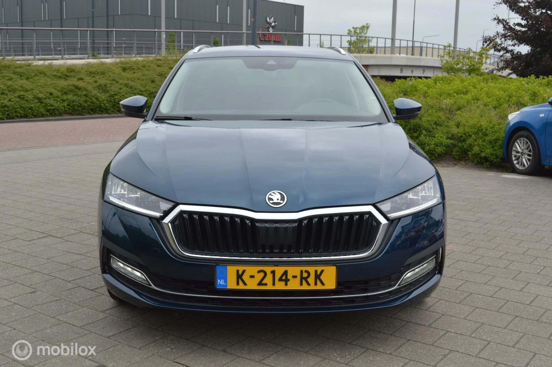 Hoofdafbeelding Škoda Octavia