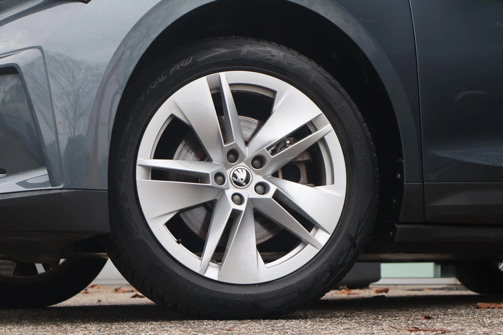 Hoofdafbeelding Škoda Enyaq iV