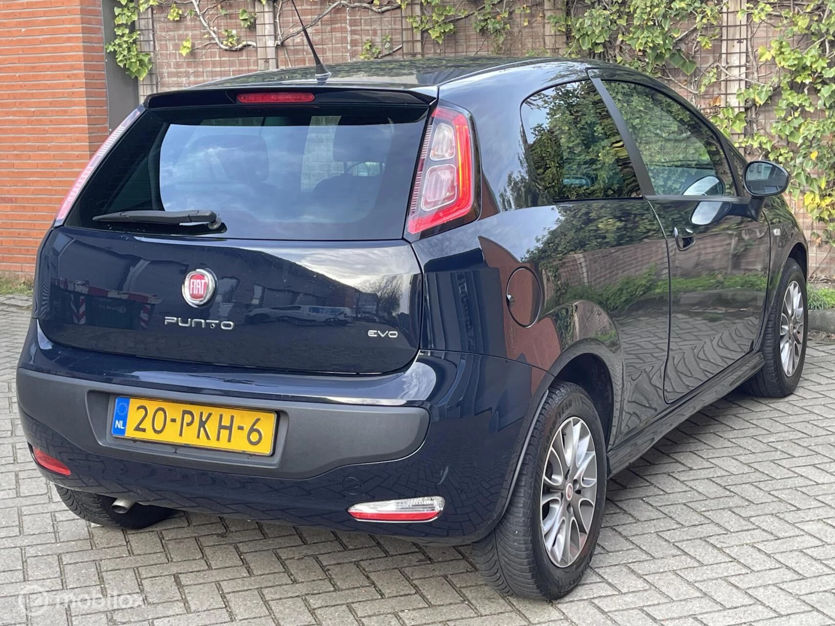 Hoofdafbeelding Fiat Punto